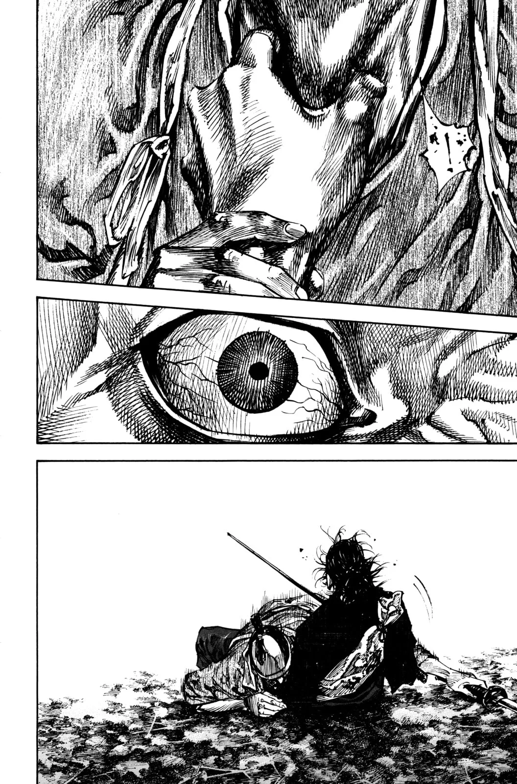Vagabond Manga — Chapter 229 — Page 12