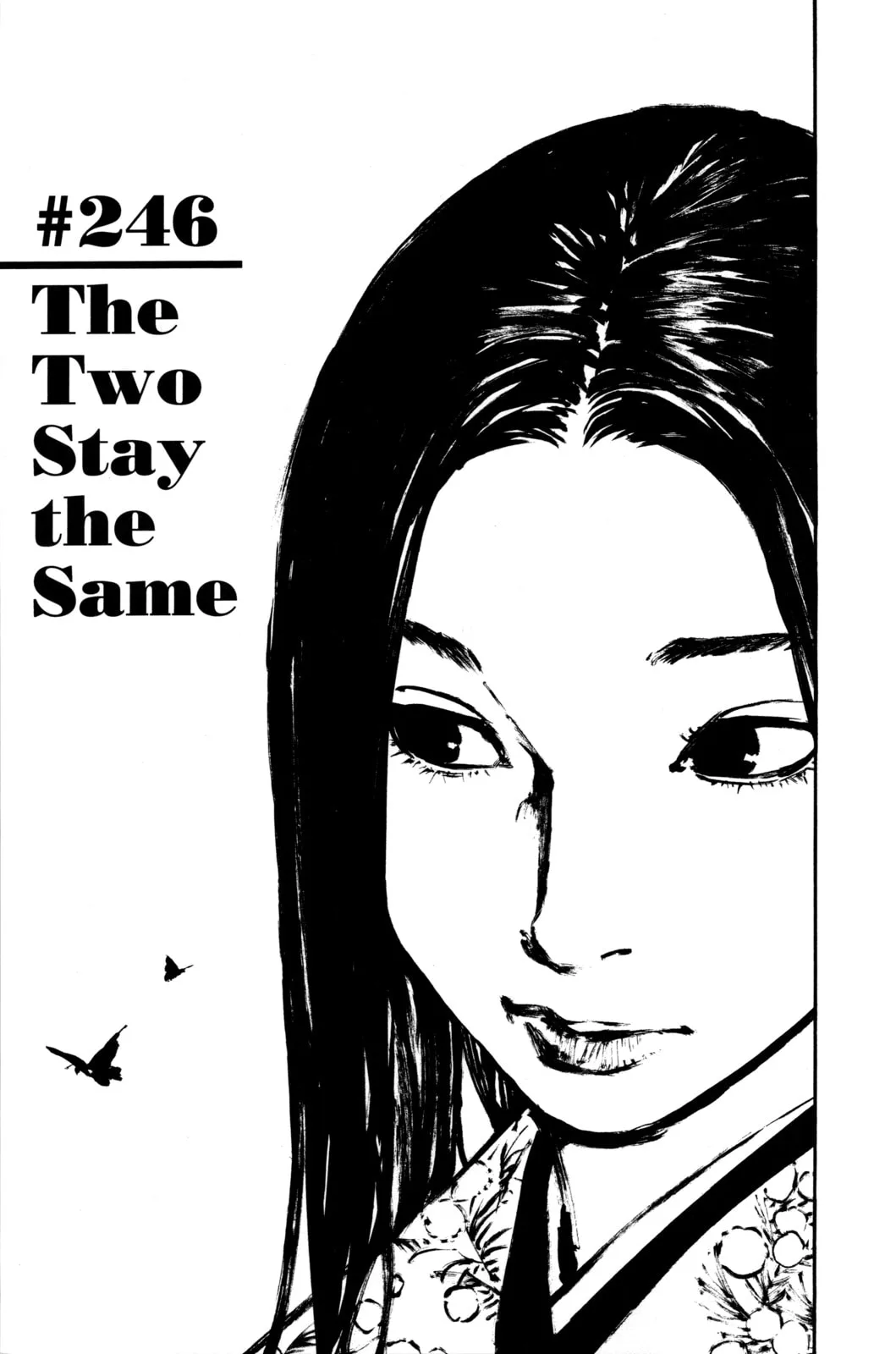 Vagabond Manga — Chapter 246 — Page 1
