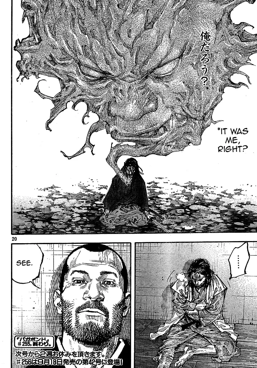 Vagabond Manga — Chapter 255 — Page 19