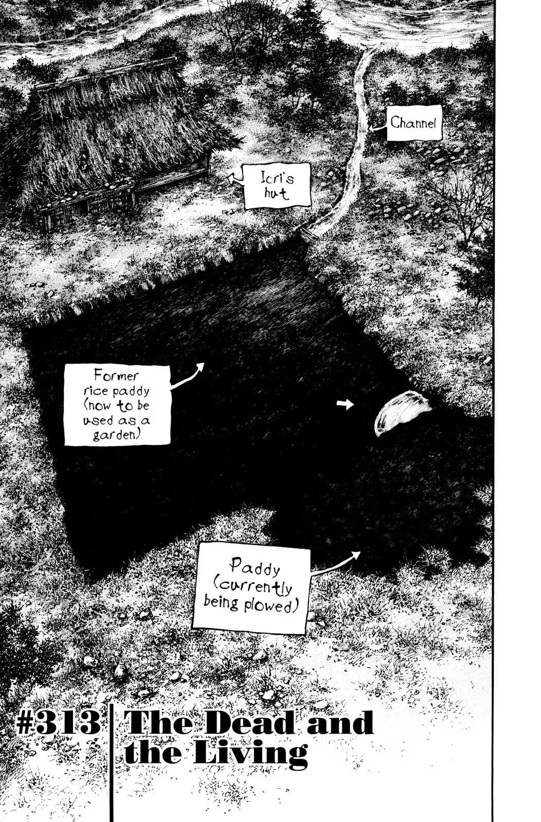 Vagabond Manga — Chapter 313 — Page 3