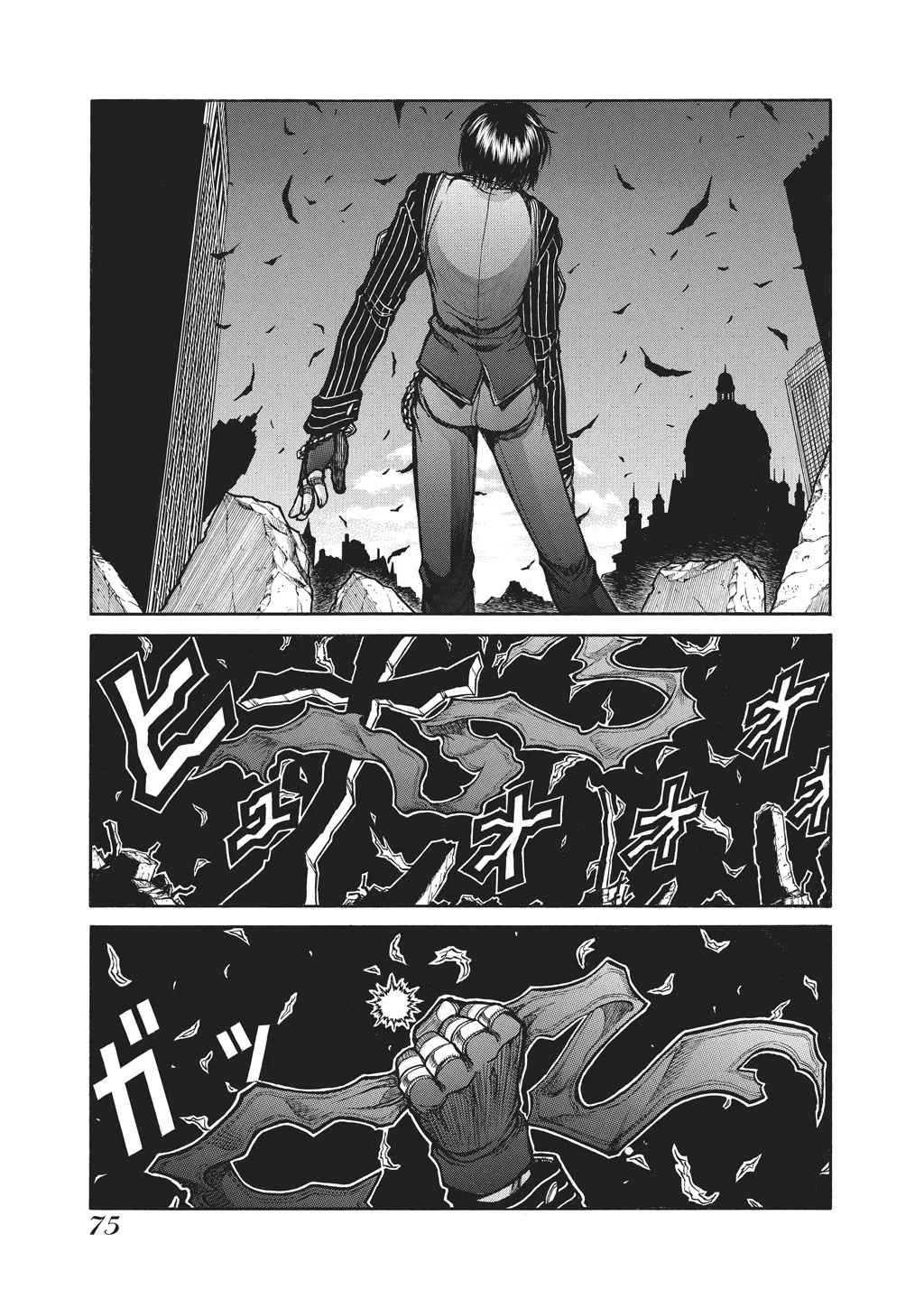 Hellsing — Chapter Vol 10 — Page 77