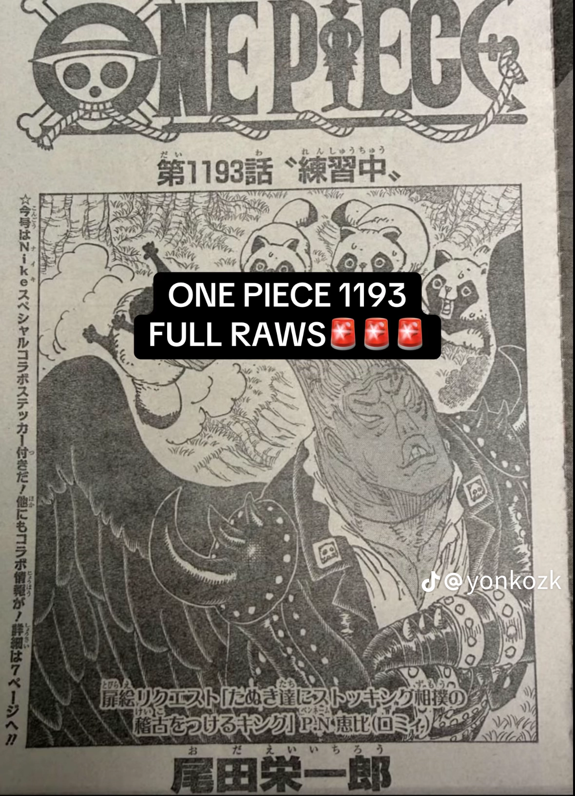One Piece Manga — Chapter 1193 RAW — Page 1