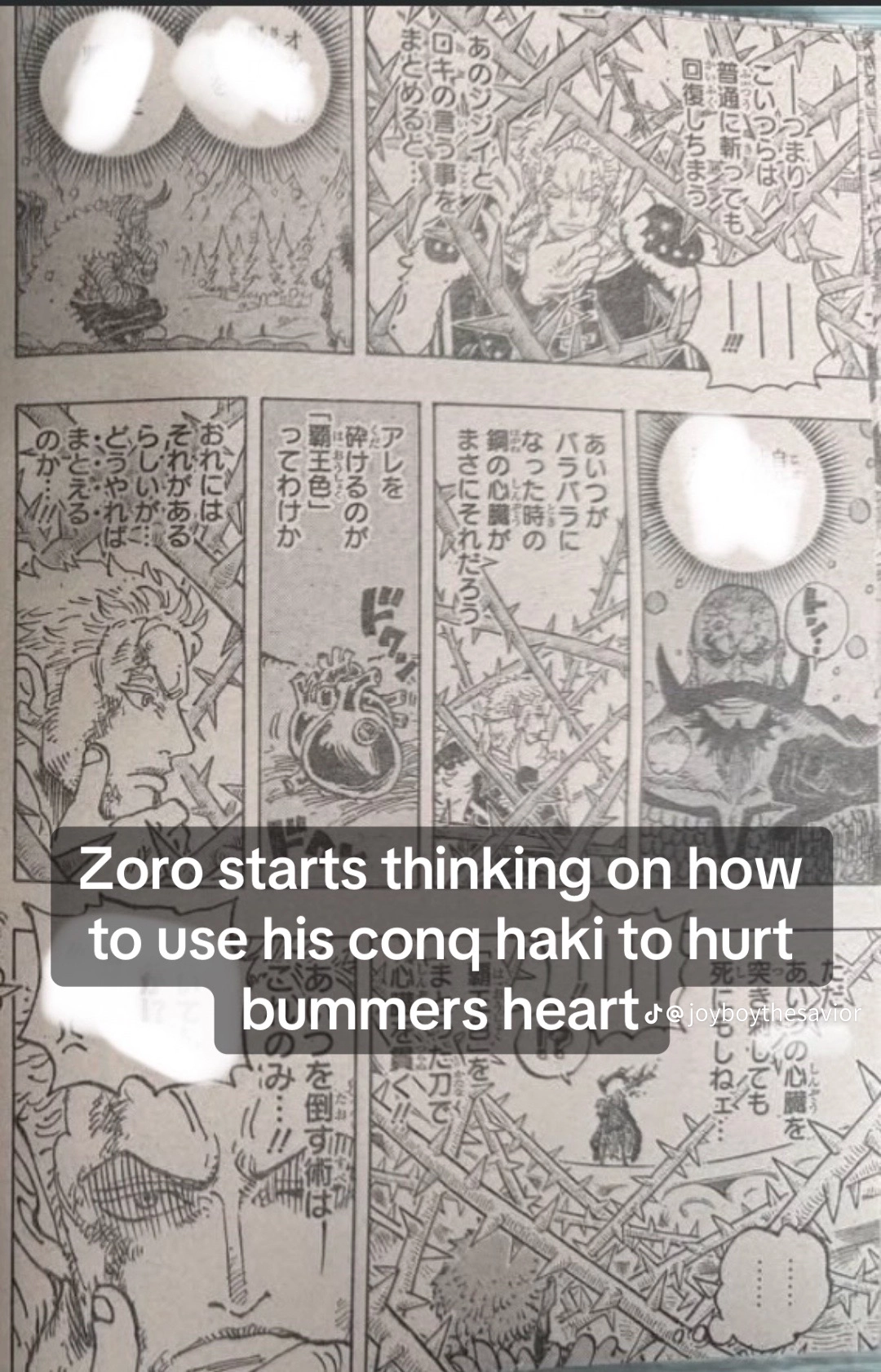 One Piece Manga — Chapter 1193 RAW — Page 13