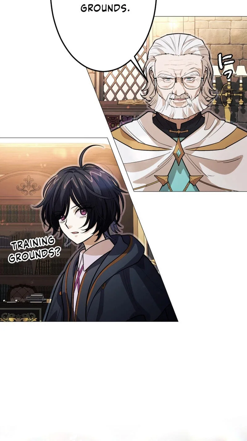 The Divine-Eyed Grimoire Mage: Jewel Saga, chapter 17, page 45