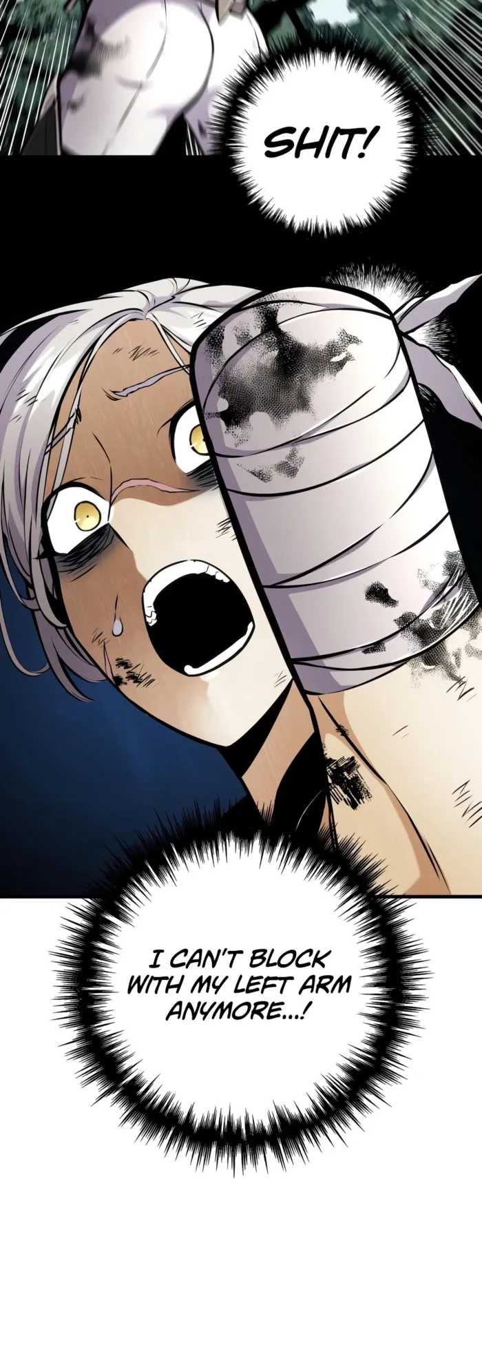The Wandering Knight’s Survival Manual, chapter 52, page 13