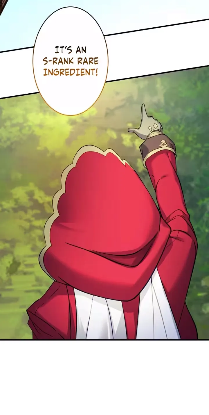 All Heroes Are My Enemies, chapter 4, page 45