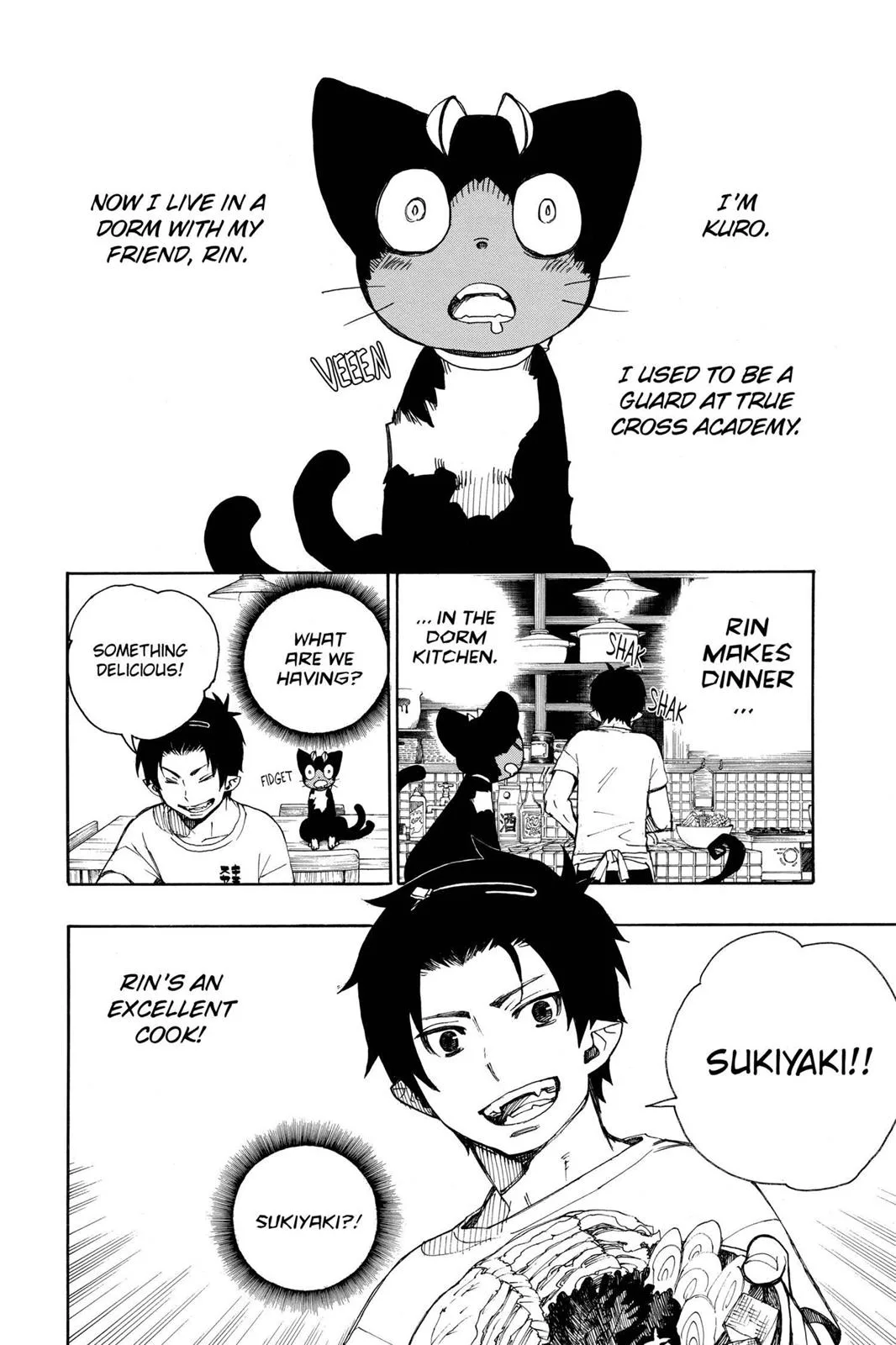Blue Exorcist, chapter 23.6, page 2
