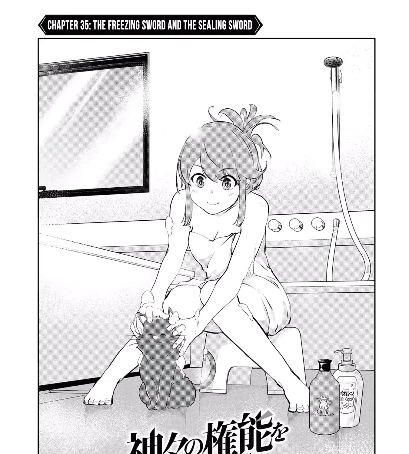 Kamigami no Kennou wo Ayatsurishi Mono - Nouryoku Suuchi "0" de Sagesumareteiru Ore da ga, Jitsu wa Sekai Saikyou no Ikkaku, chapter 35, page 3