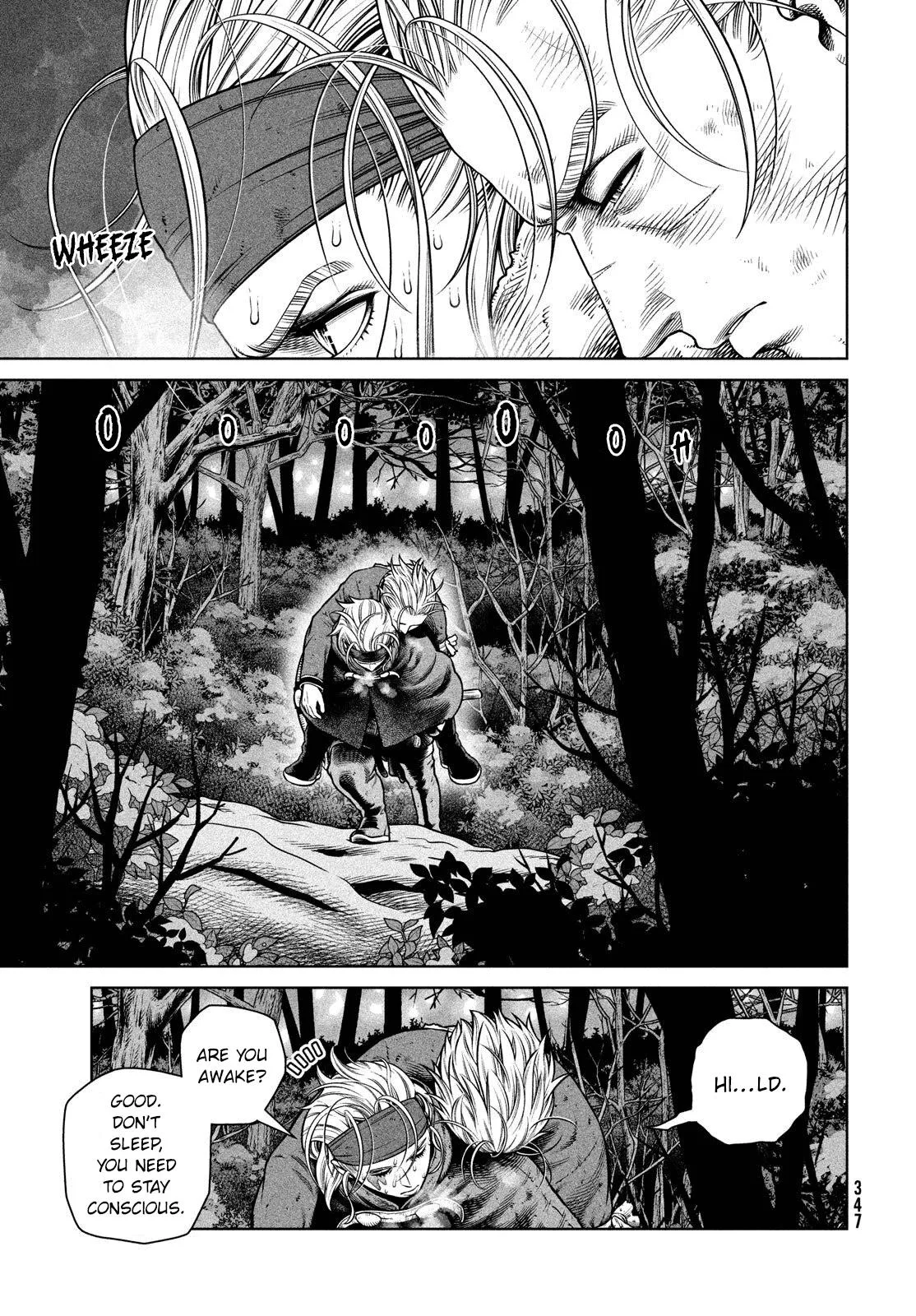Vinland Saga, chapter 210, page 17