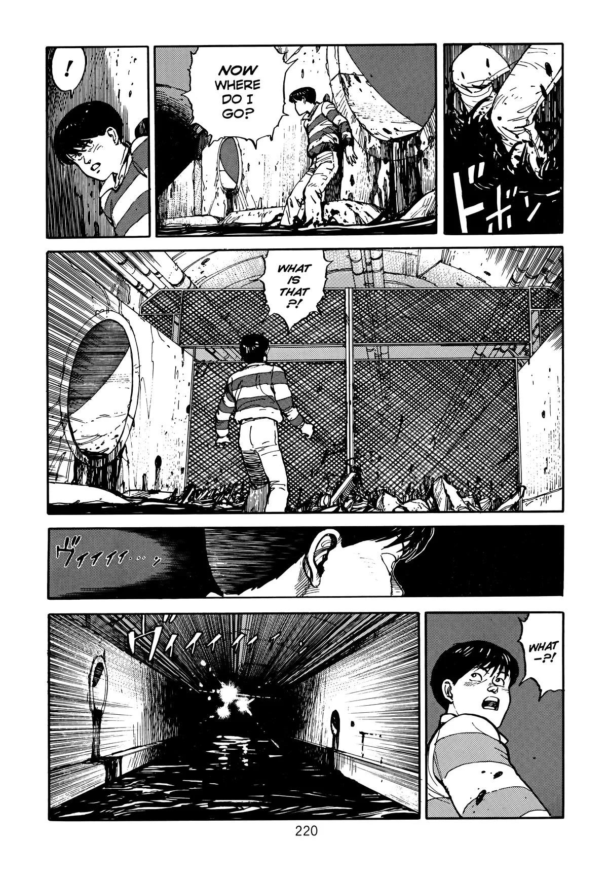 Akira, chapter Vol 1, page 219