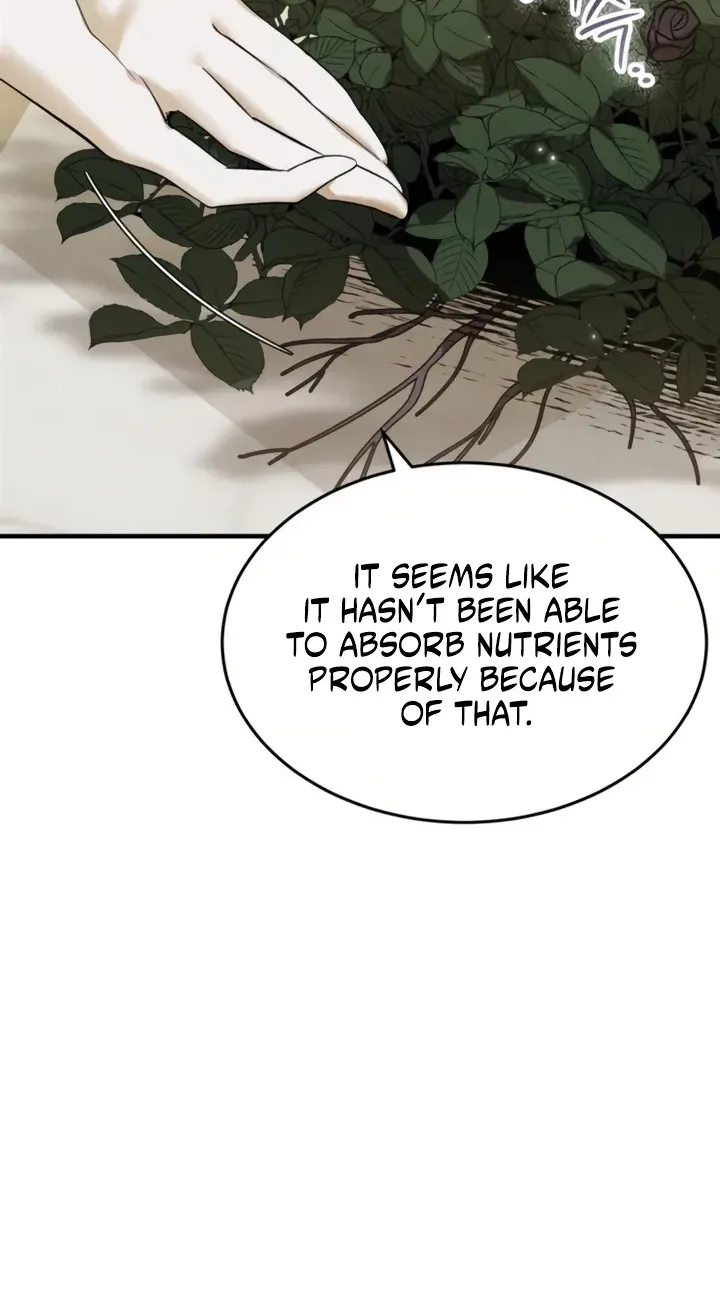 I Became a Hatchling, chapter 23, page 8