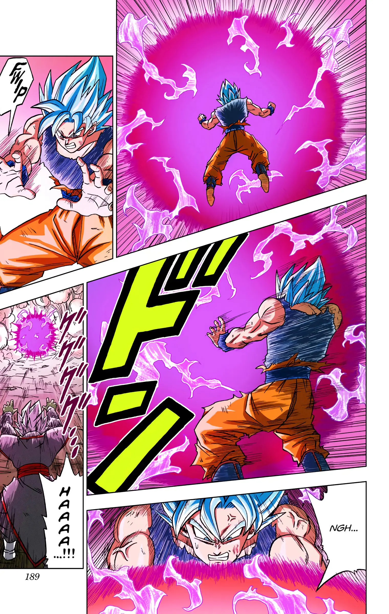 Dragon Ball Super Colored Manga, chapter 24, page 41