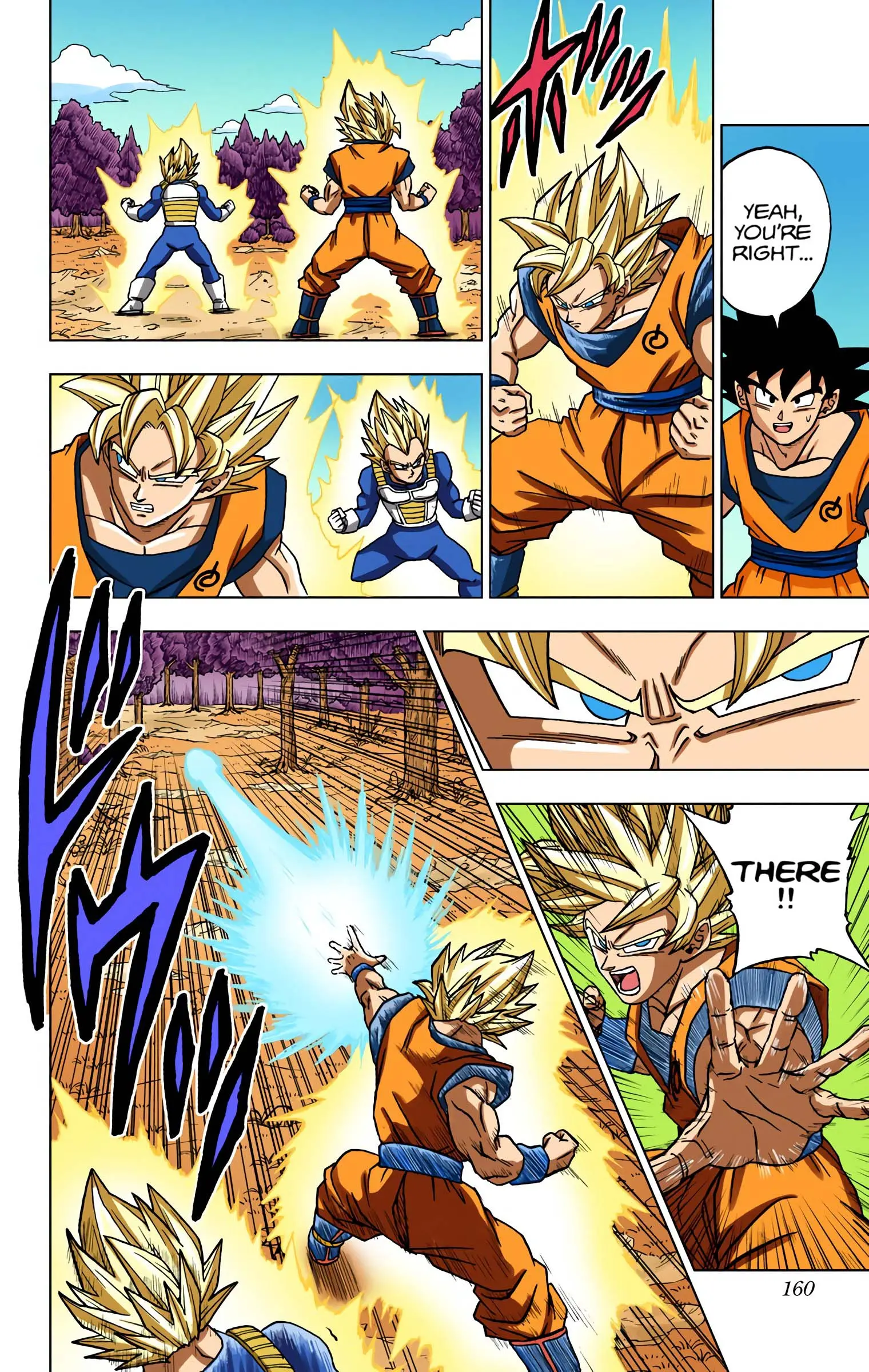 Dragon Ball Super Colored Manga, chapter 72, page 16