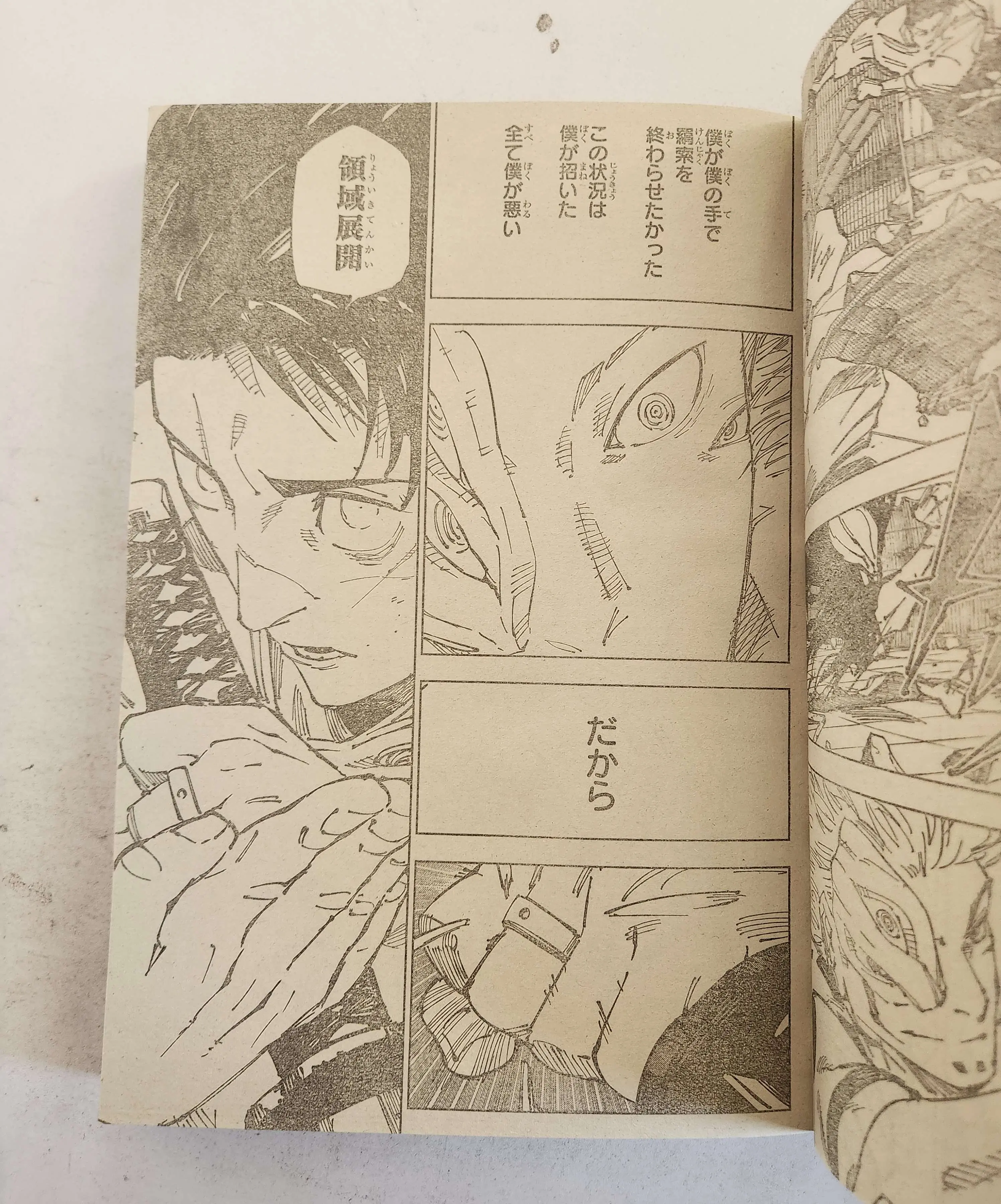 Jujutsu Kaisen (JJK) Manga Online, chapter 249 RAW, page 13