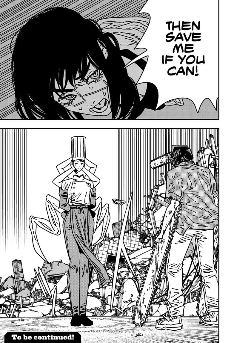 Chainsaw Man Manga, chapter 205, page 15