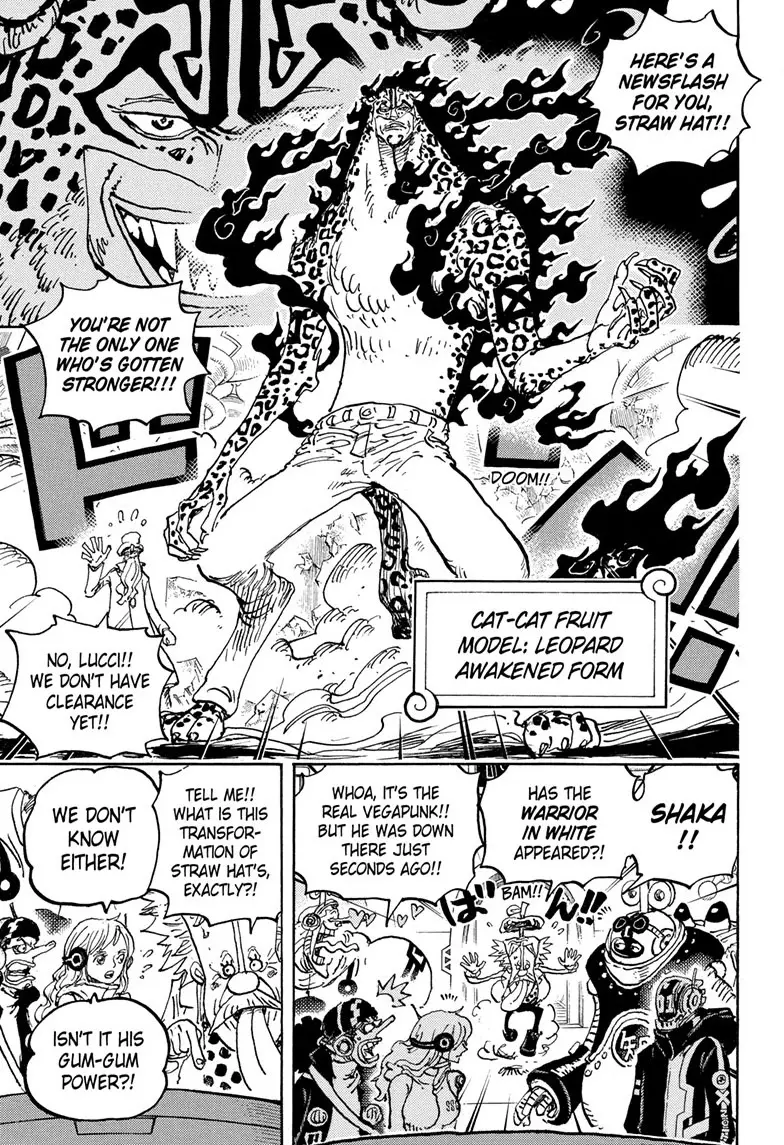 One Piece Manga, chapter 1069, page 7