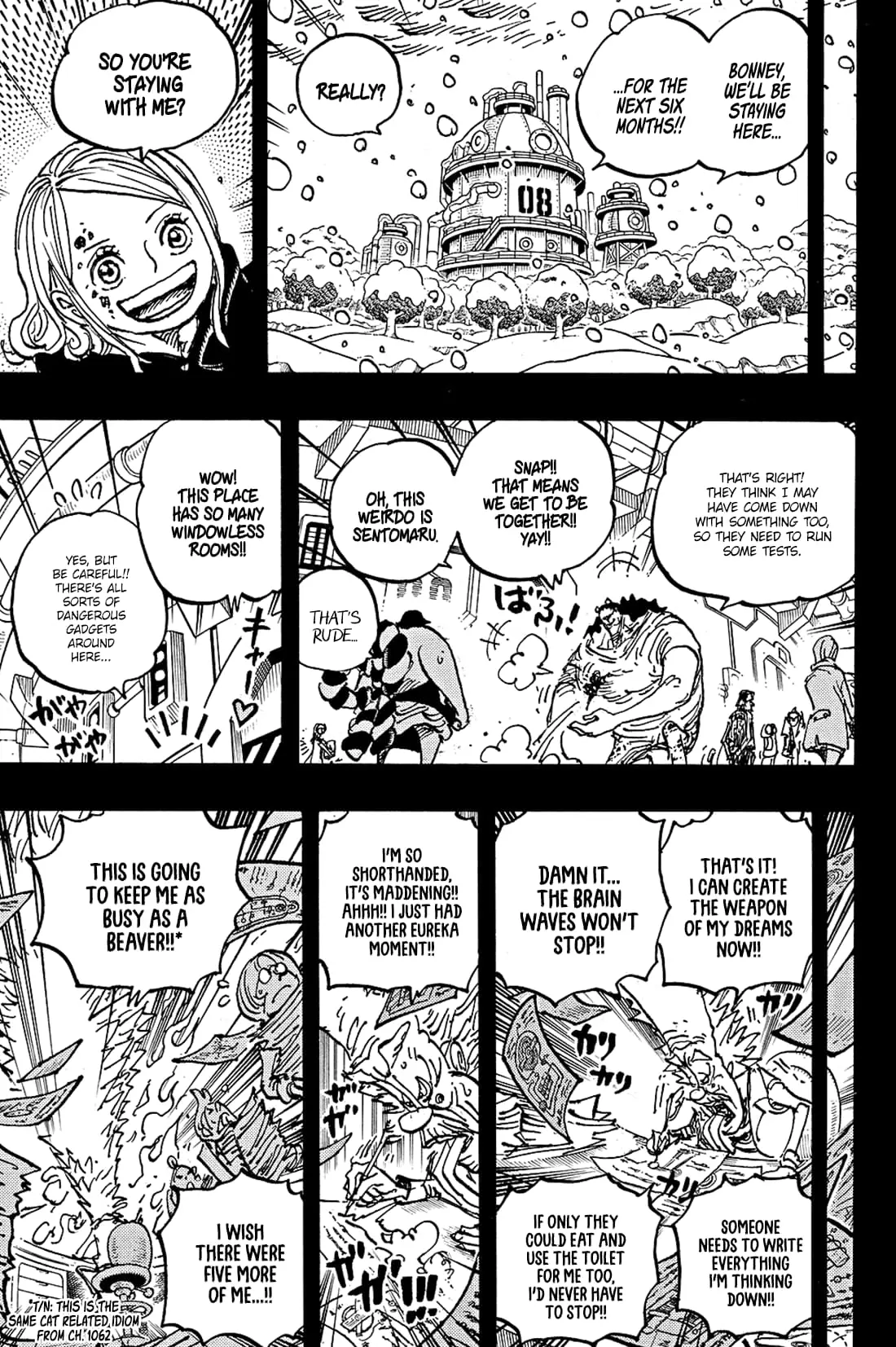 One Piece Manga, chapter 1100, page 9