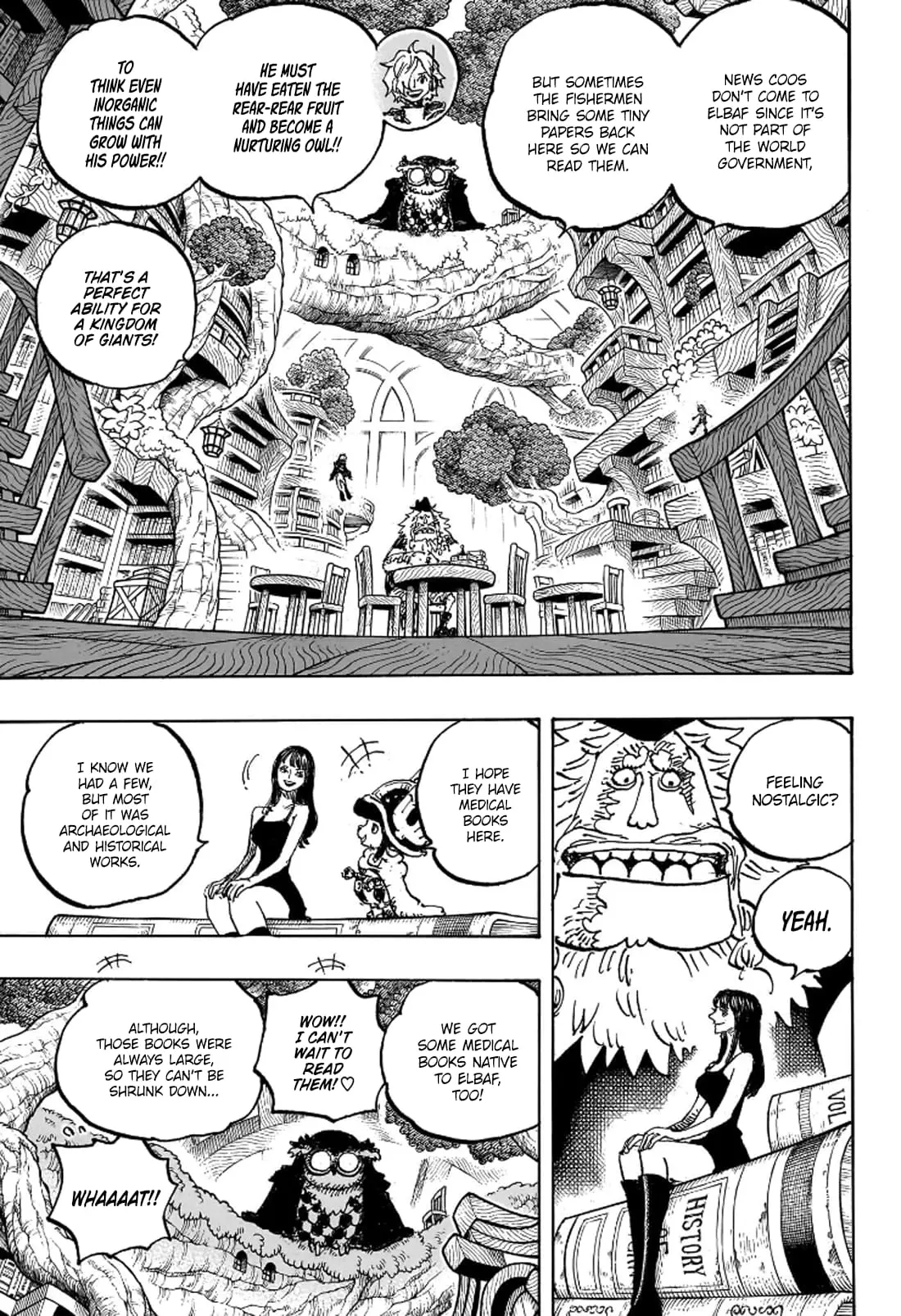 One Piece Manga, chapter 1135, page 4