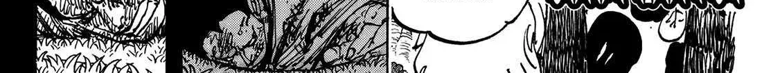 One Piece Manga, chapter 1161, page 8