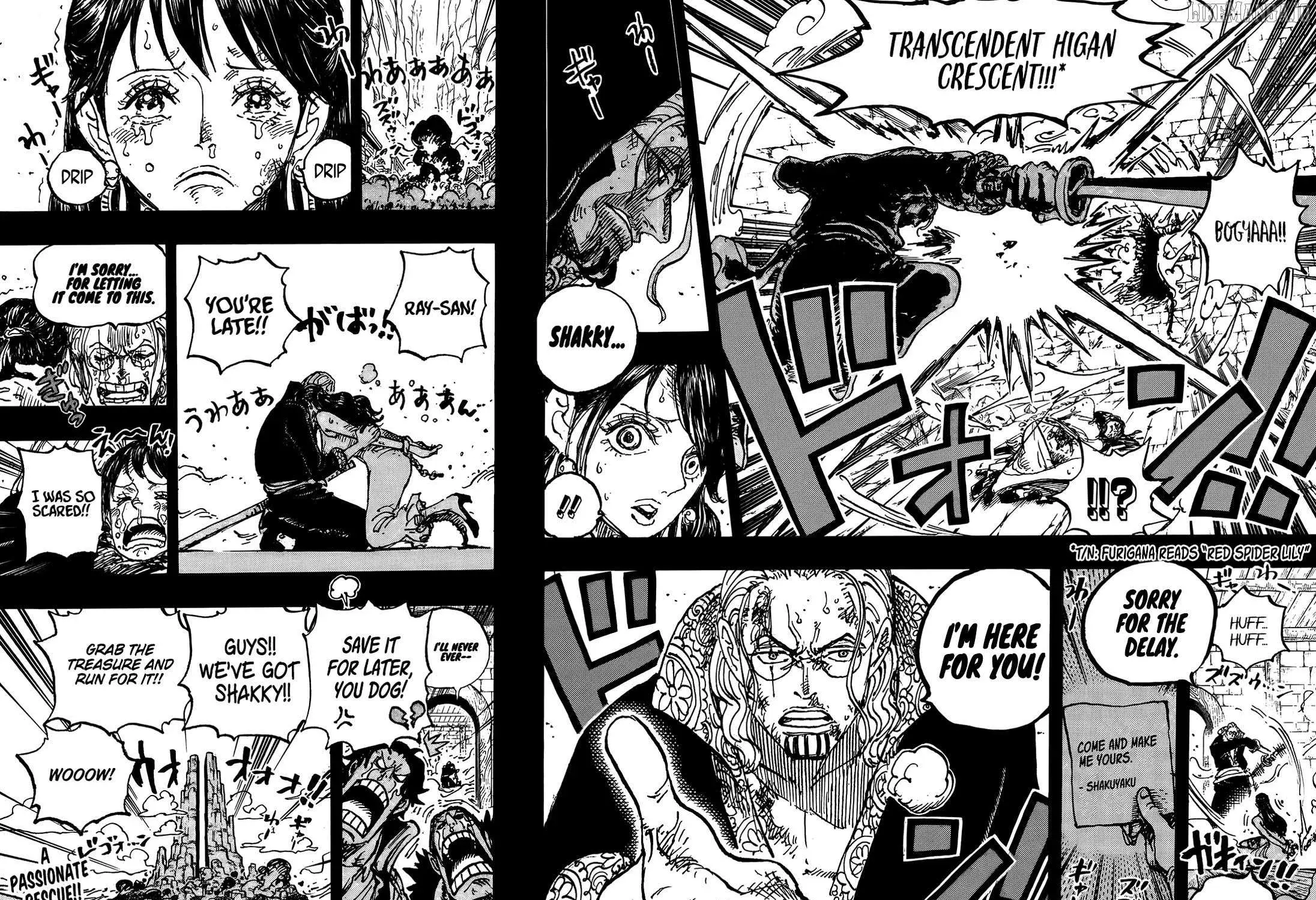 One Piece Manga, chapter 1161, page 29
