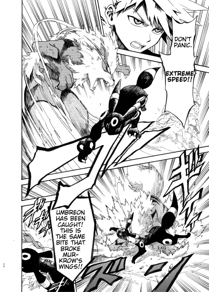 Pokemon - Festival of Champions (Doujinshi), chapter 8, page 29
