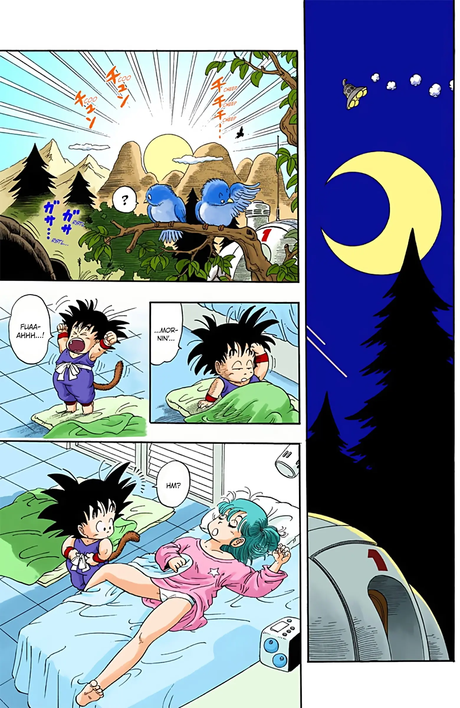 Dragon Ball Colored Manga, chapter 2, page 13