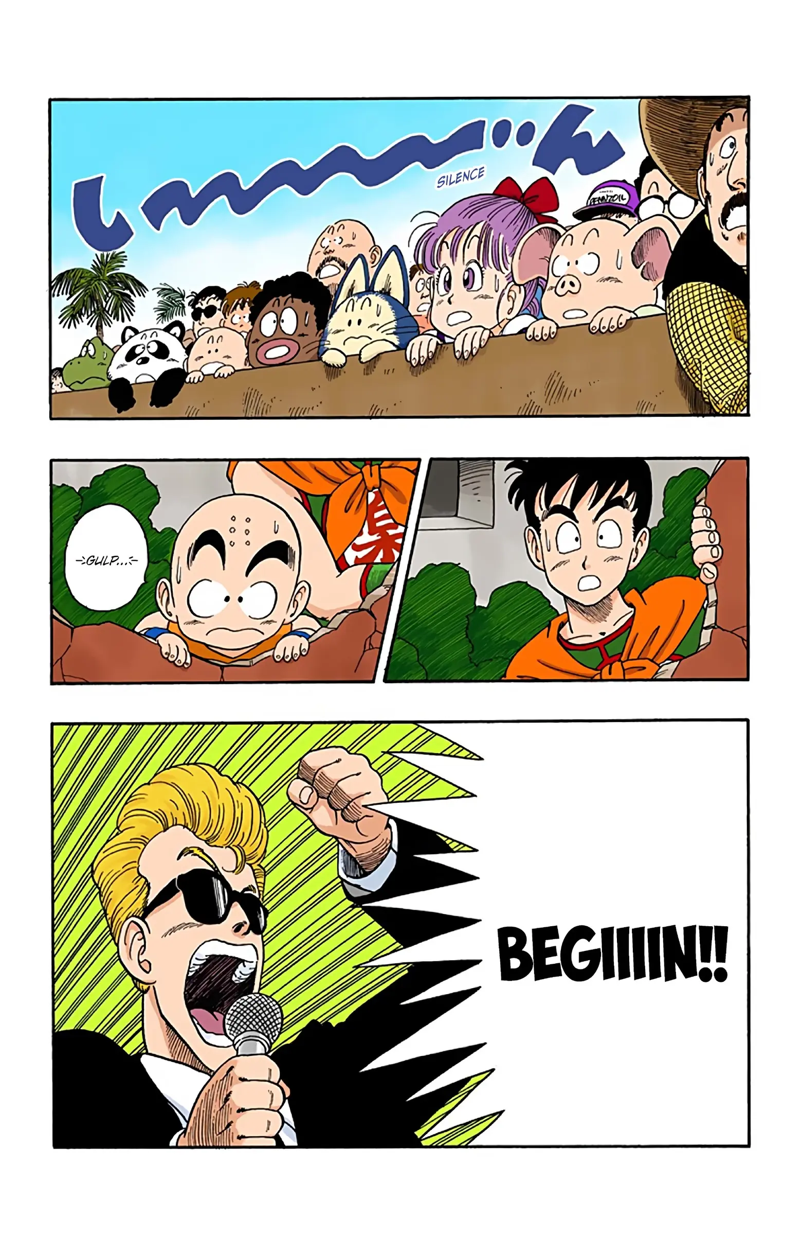 Dragon Ball Colored Manga, chapter 46, page 14