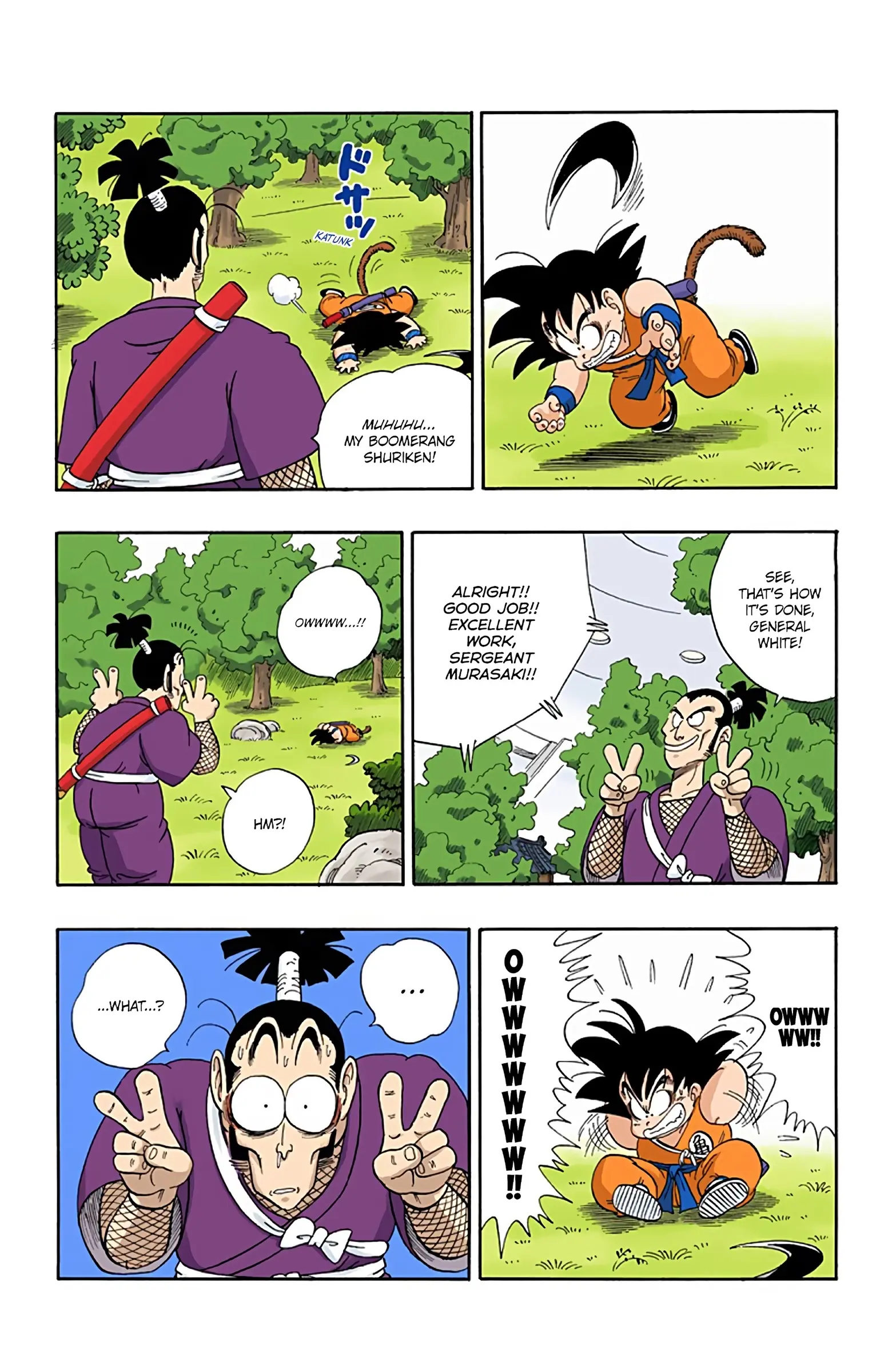 Dragon Ball Colored Manga, chapter 61, page 11