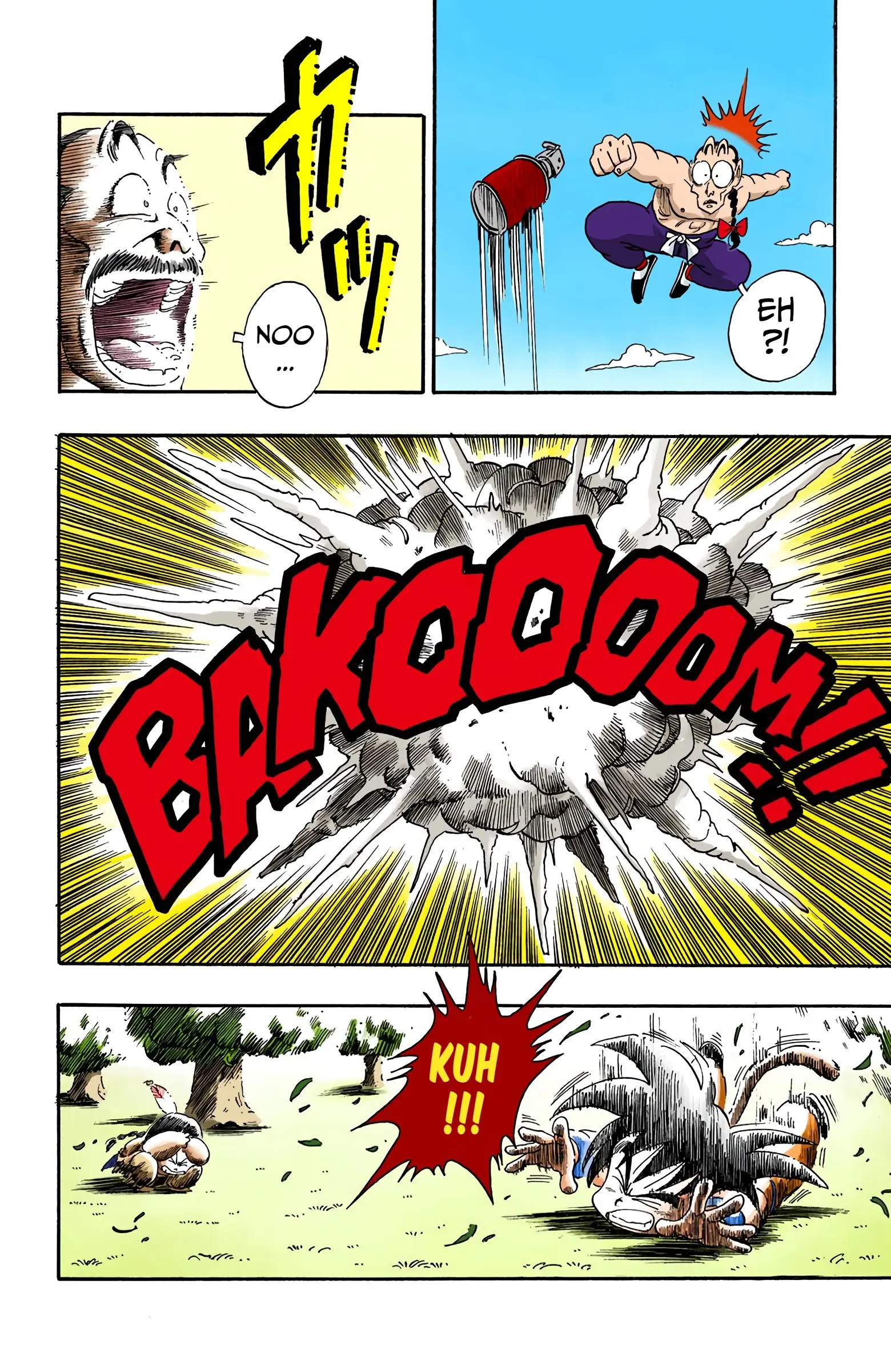 Dragon Ball Colored Manga, chapter 92, page 14