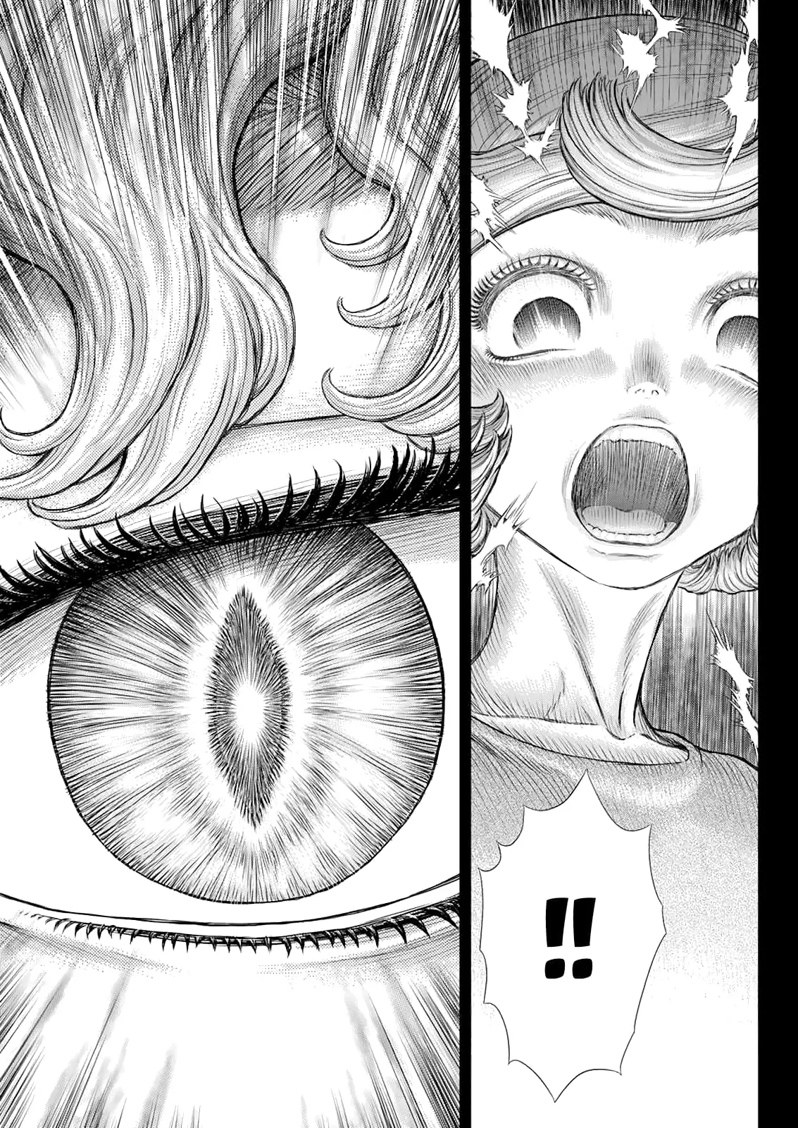 Berserk Manga, chapter 365, page 11