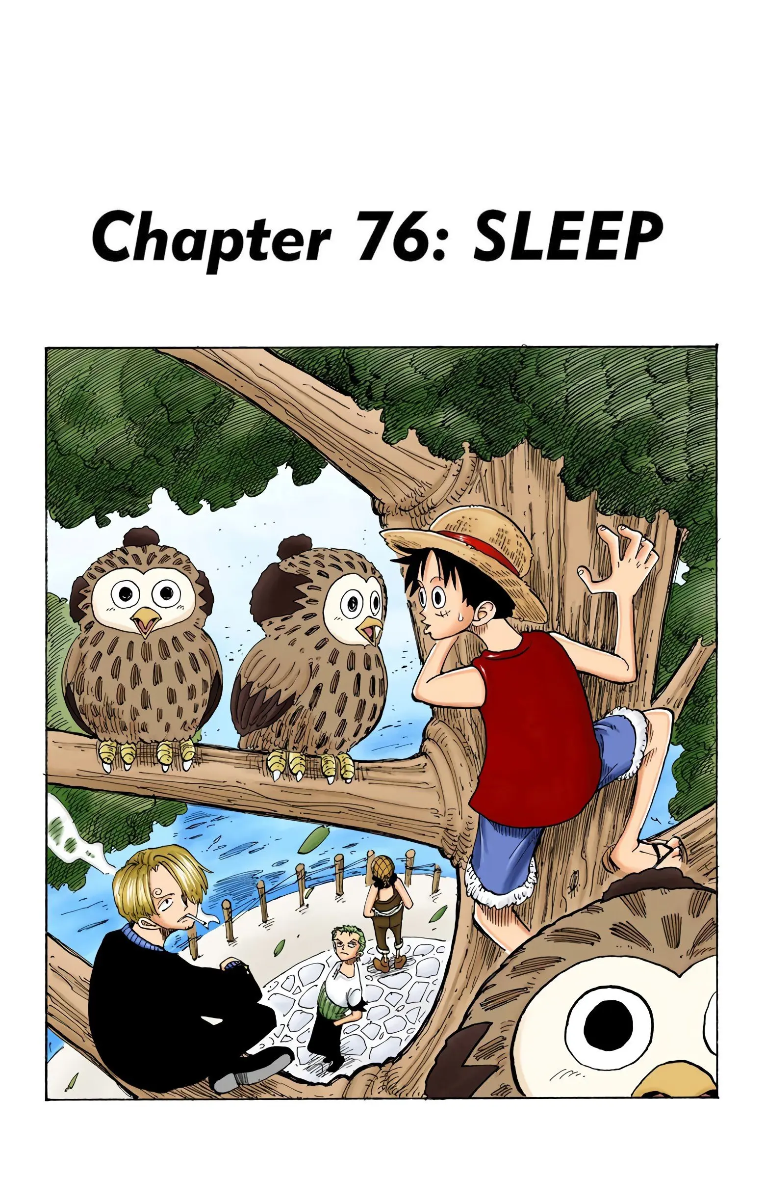 One Piece Colored, chapter 76, page 1