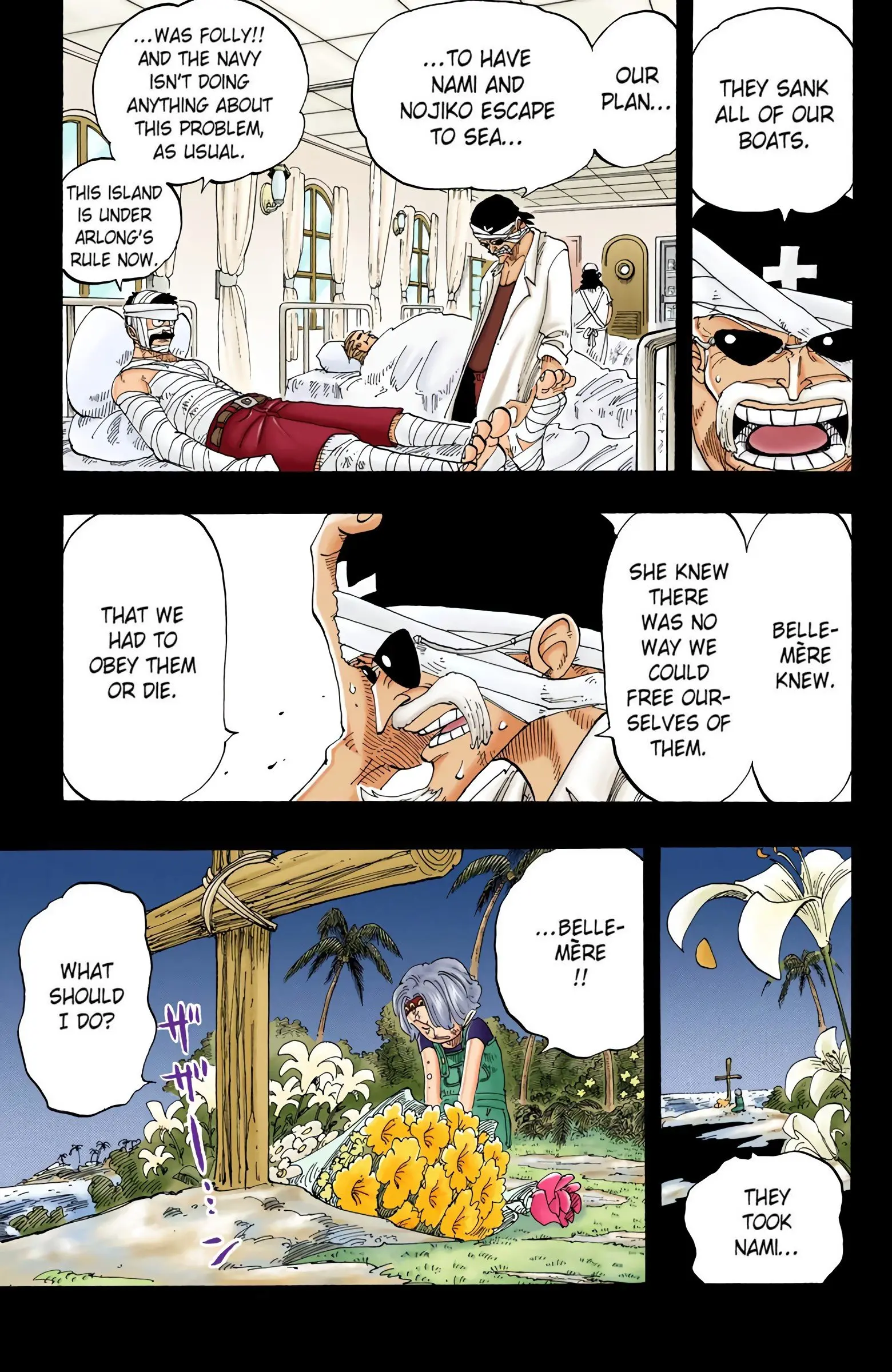 One Piece Colored, chapter 79, page 10