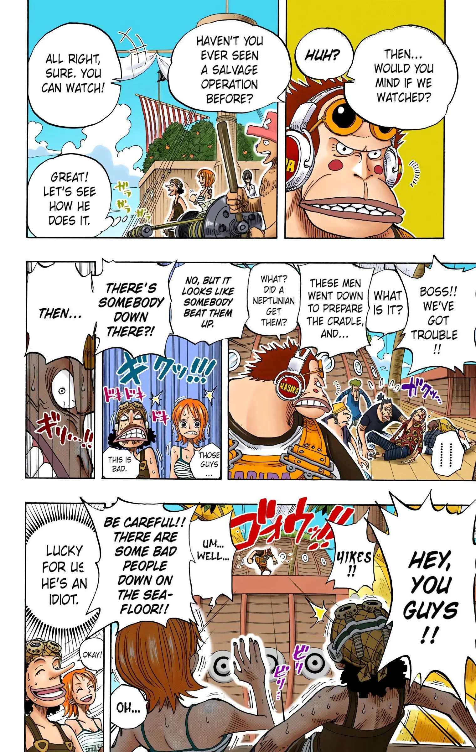 One Piece Colored, chapter 219, page 18
