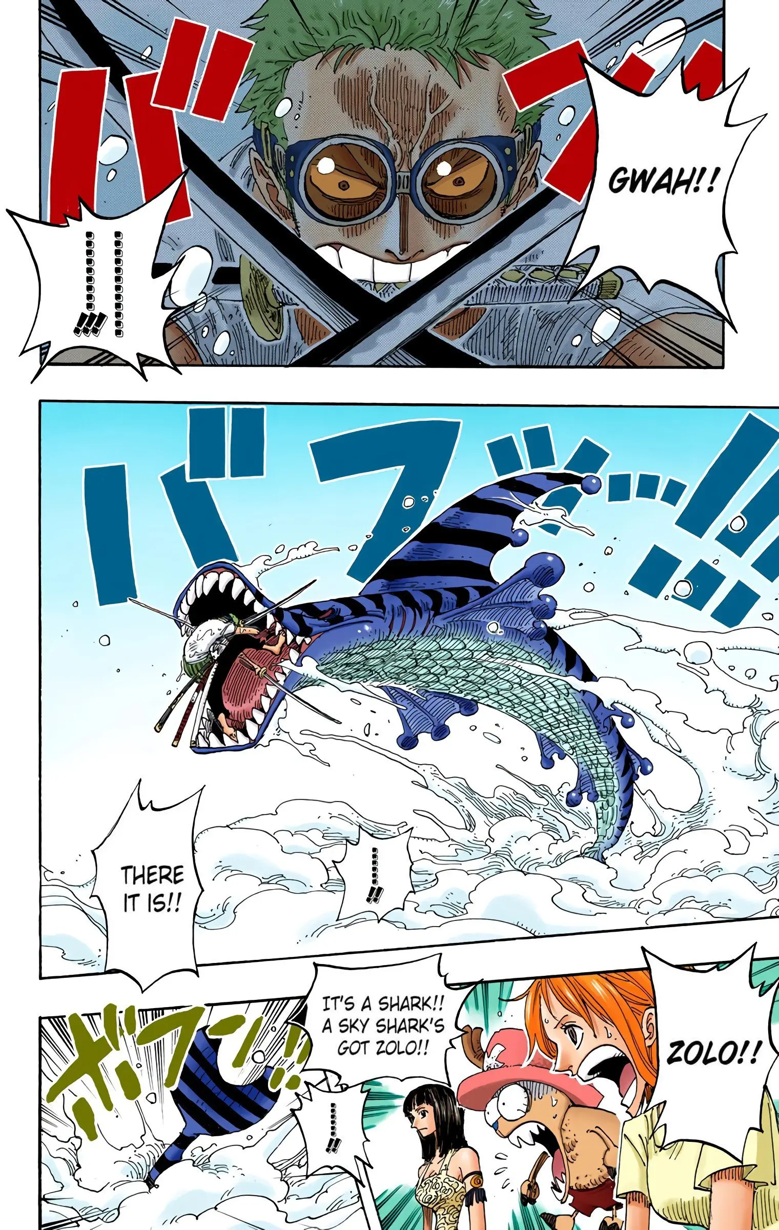 One Piece Colored, chapter 245, page 9
