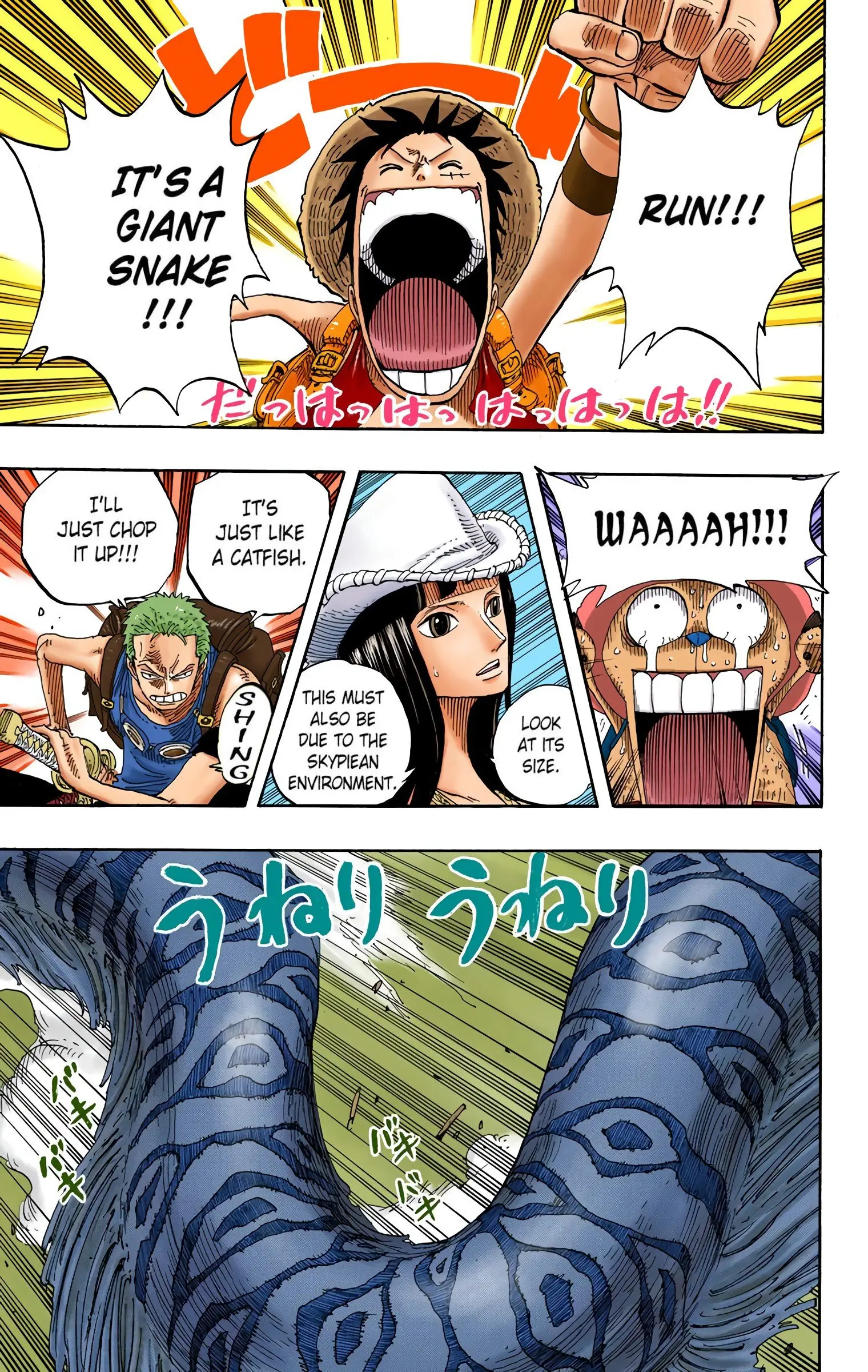 One Piece Colored, chapter 255, page 13