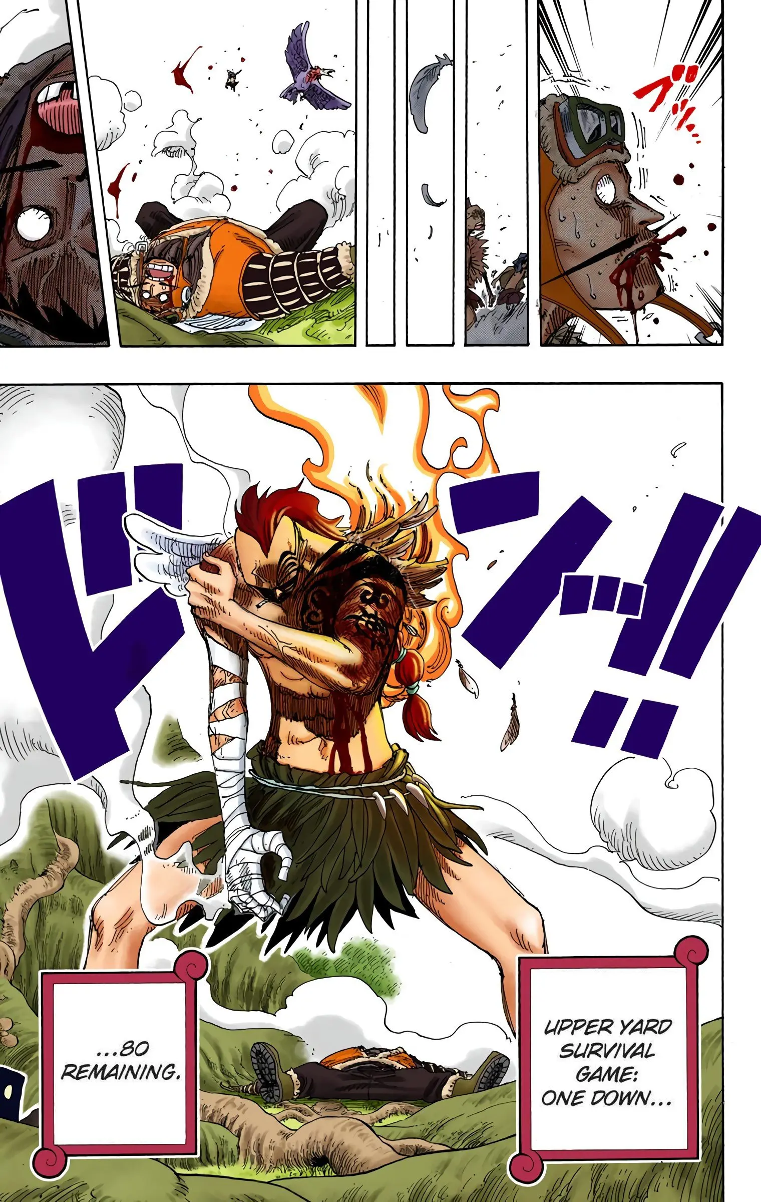 One Piece Colored, chapter 256, page 24