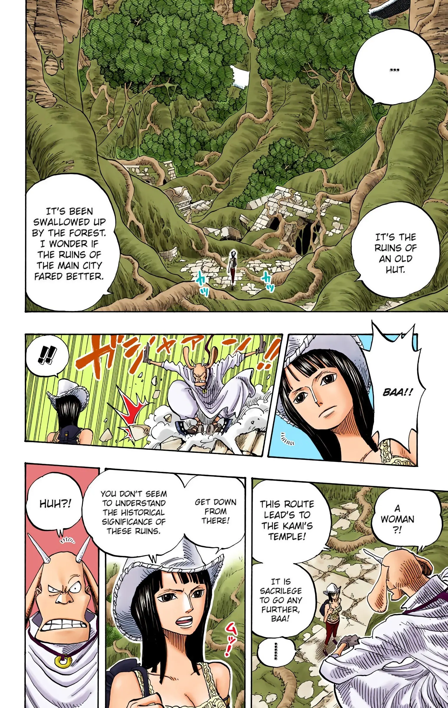 One Piece Colored, chapter 258, page 8