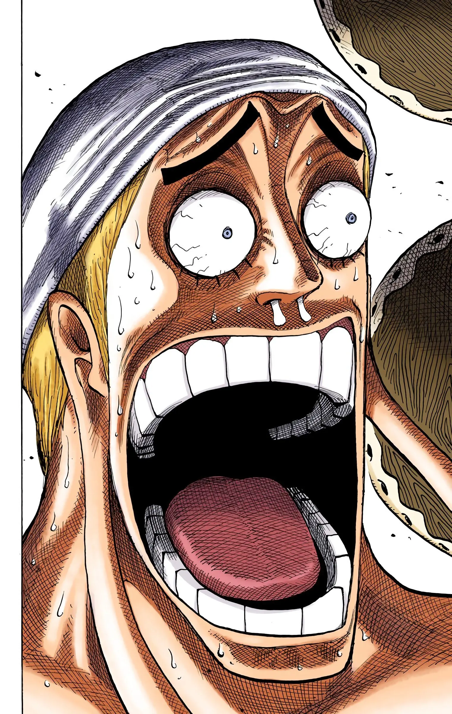 One Piece Colored, chapter 279, page 16