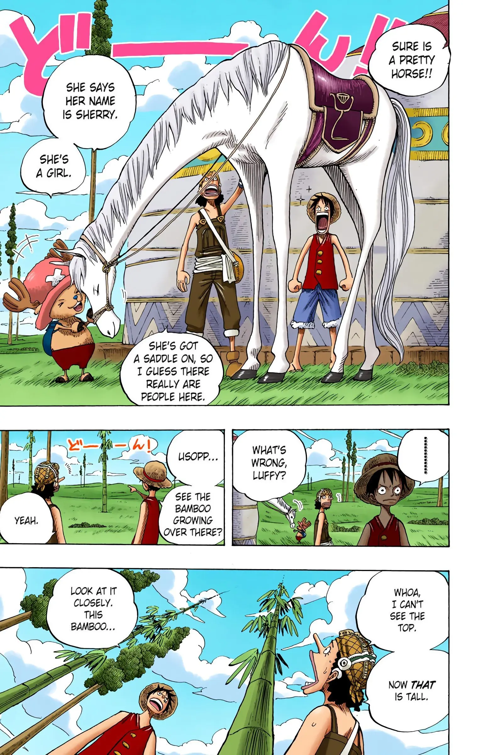 One Piece Colored, chapter 304, page 15