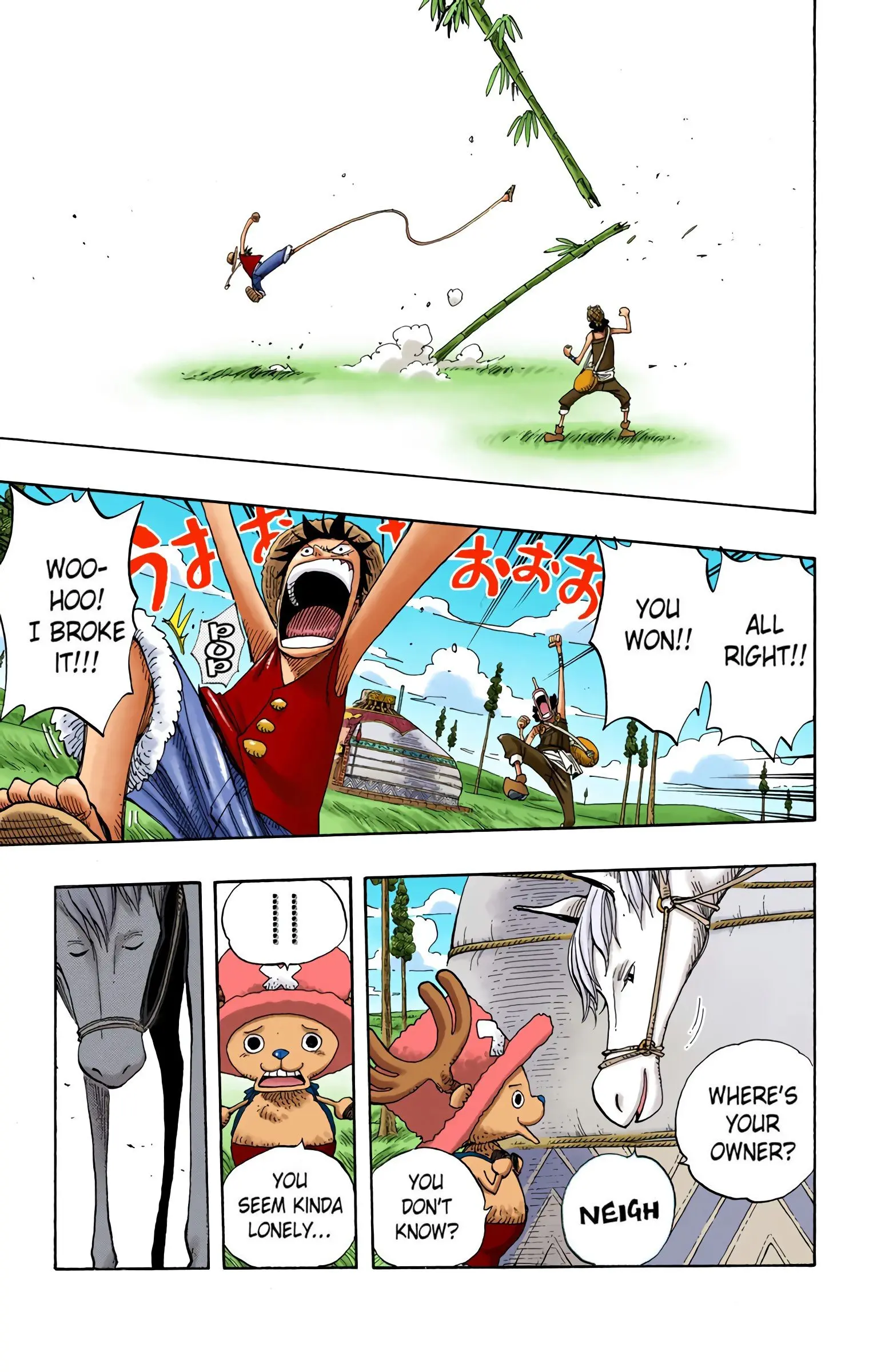 One Piece Colored, chapter 304, page 17