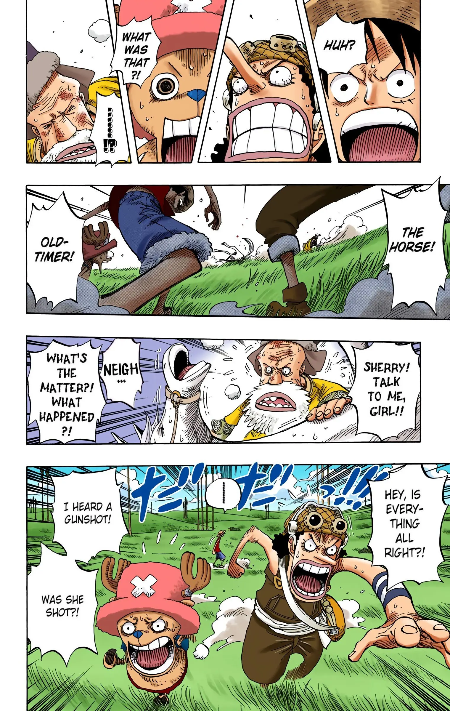One Piece Colored, chapter 305, page 14