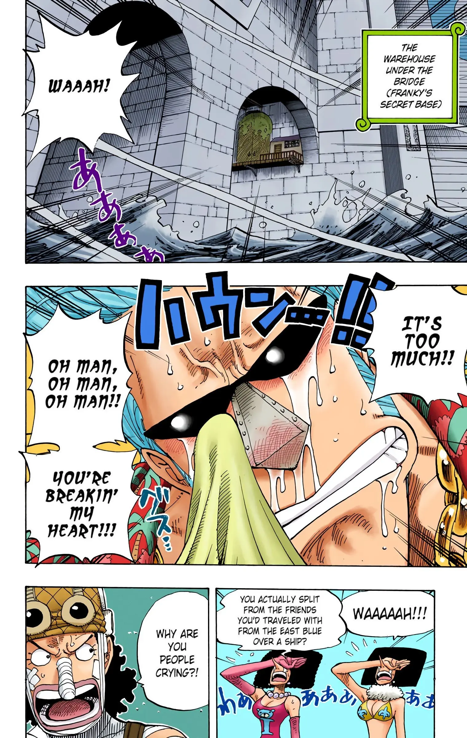 One Piece Colored, chapter 350, page 8