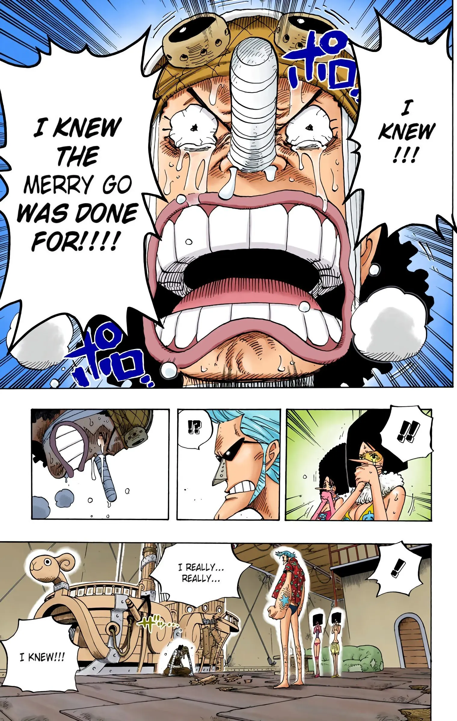 One Piece Colored, chapter 351, page 13