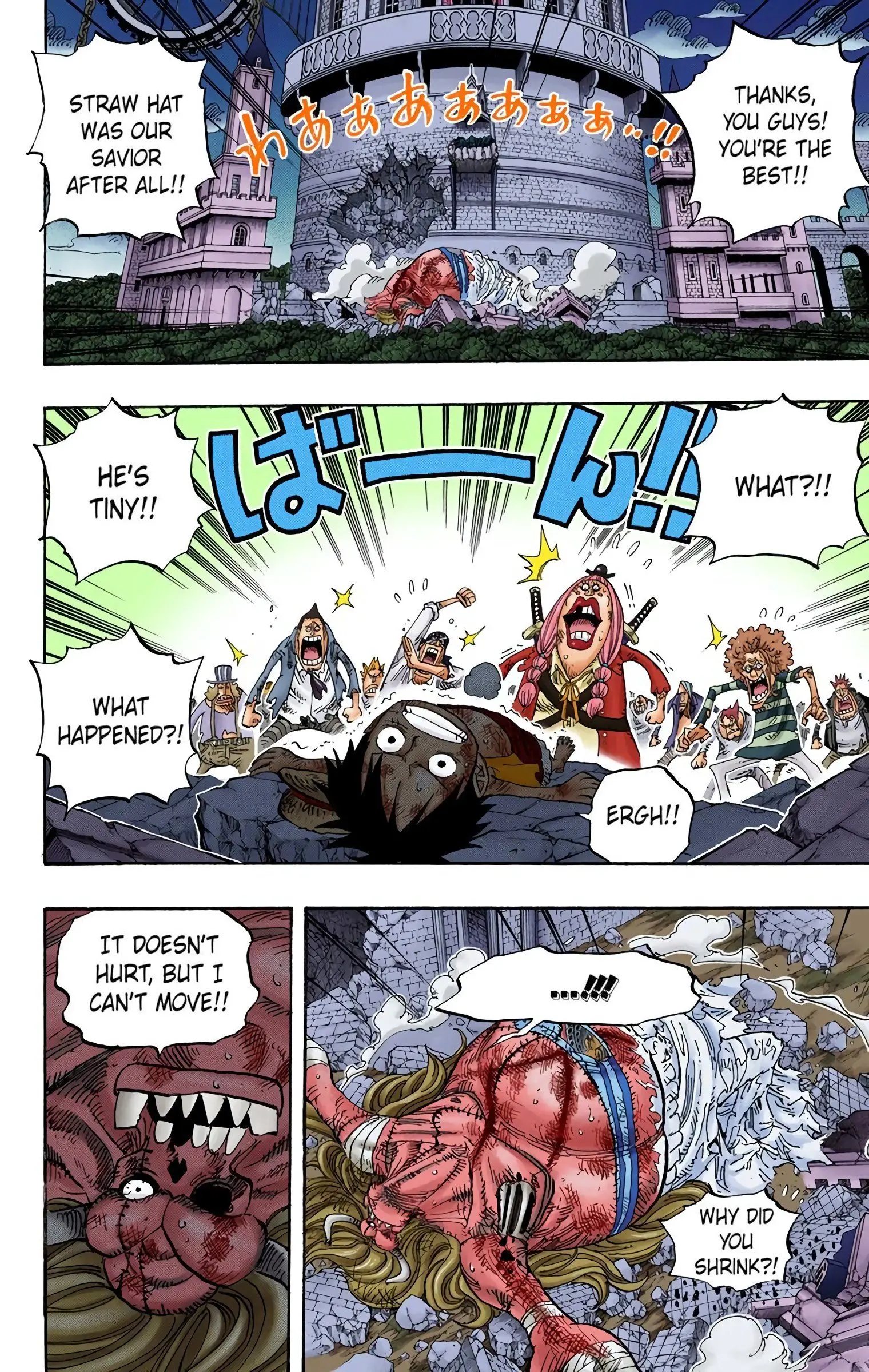One Piece Colored, chapter 481, page 4