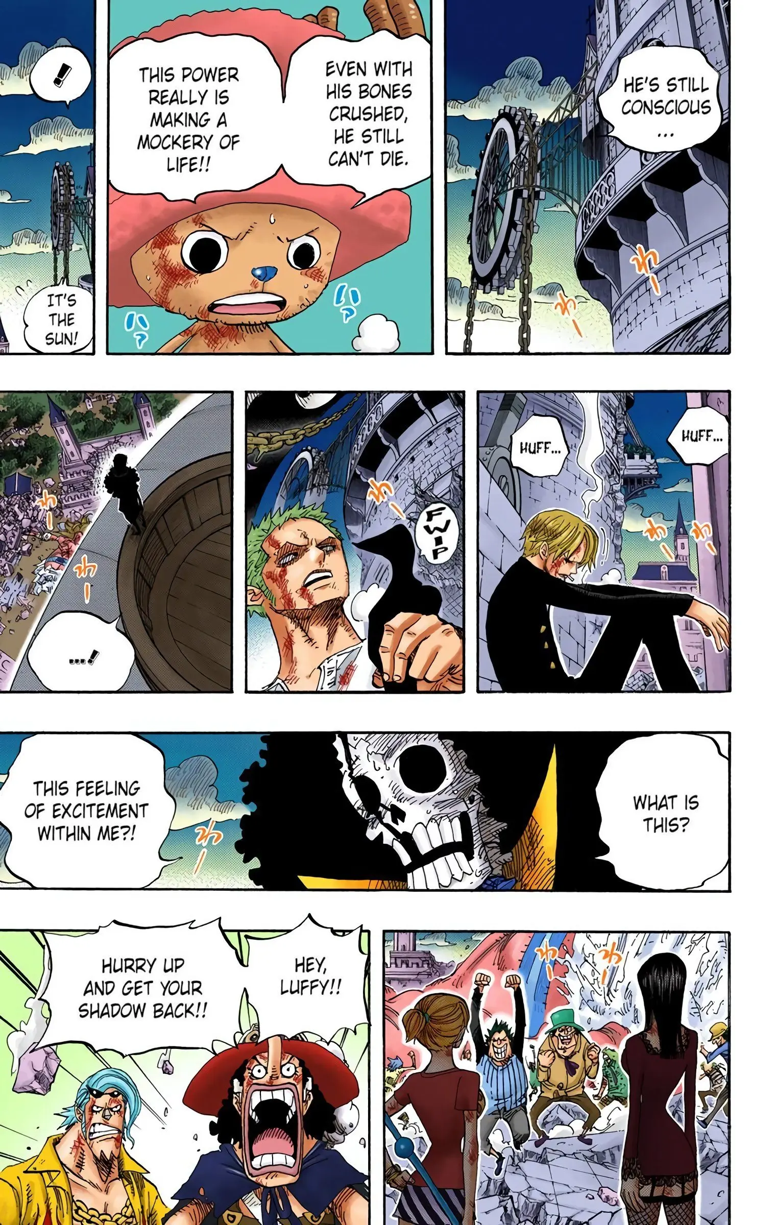 One Piece Colored, chapter 481, page 5