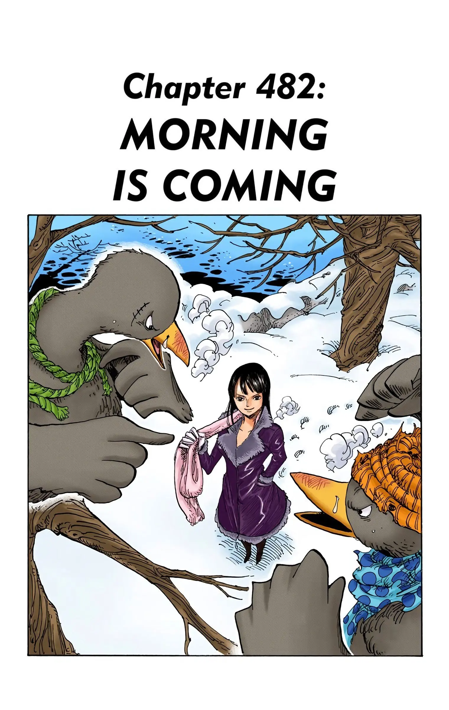 One Piece Colored, chapter 482, page 7