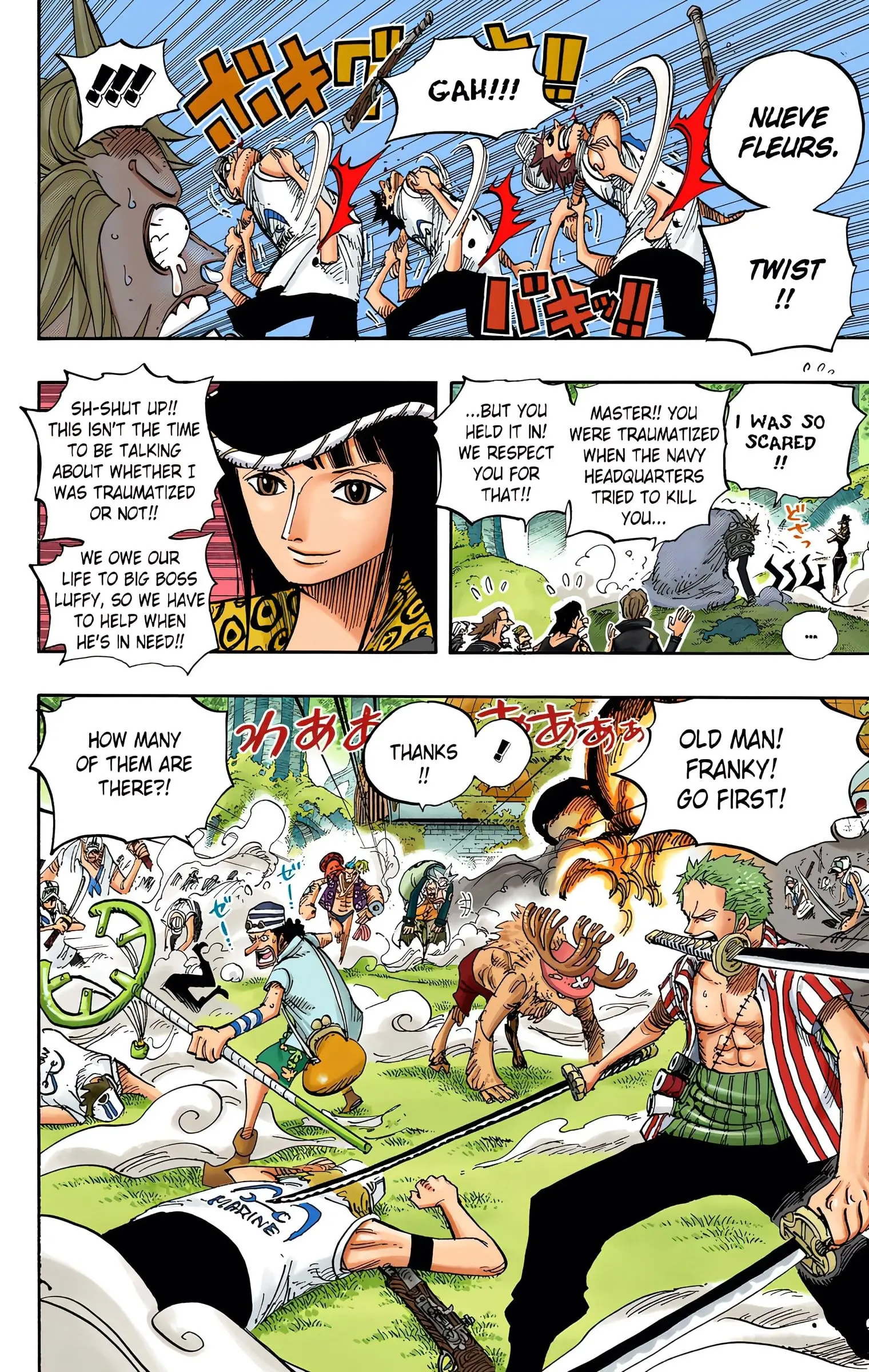One Piece Colored, chapter 505, page 15