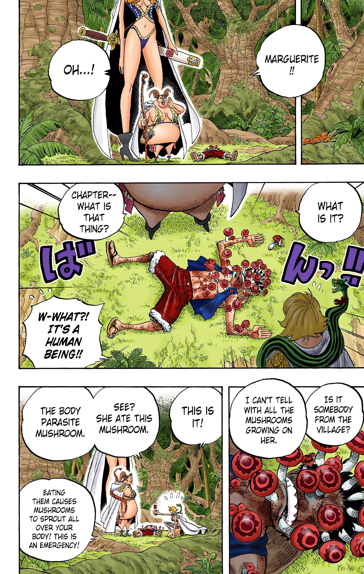 One Piece Colored, chapter 514, page 13