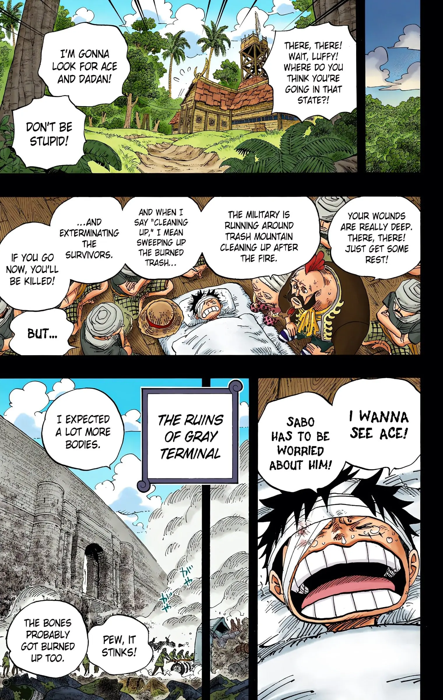 One Piece Colored, chapter 587, page 17
