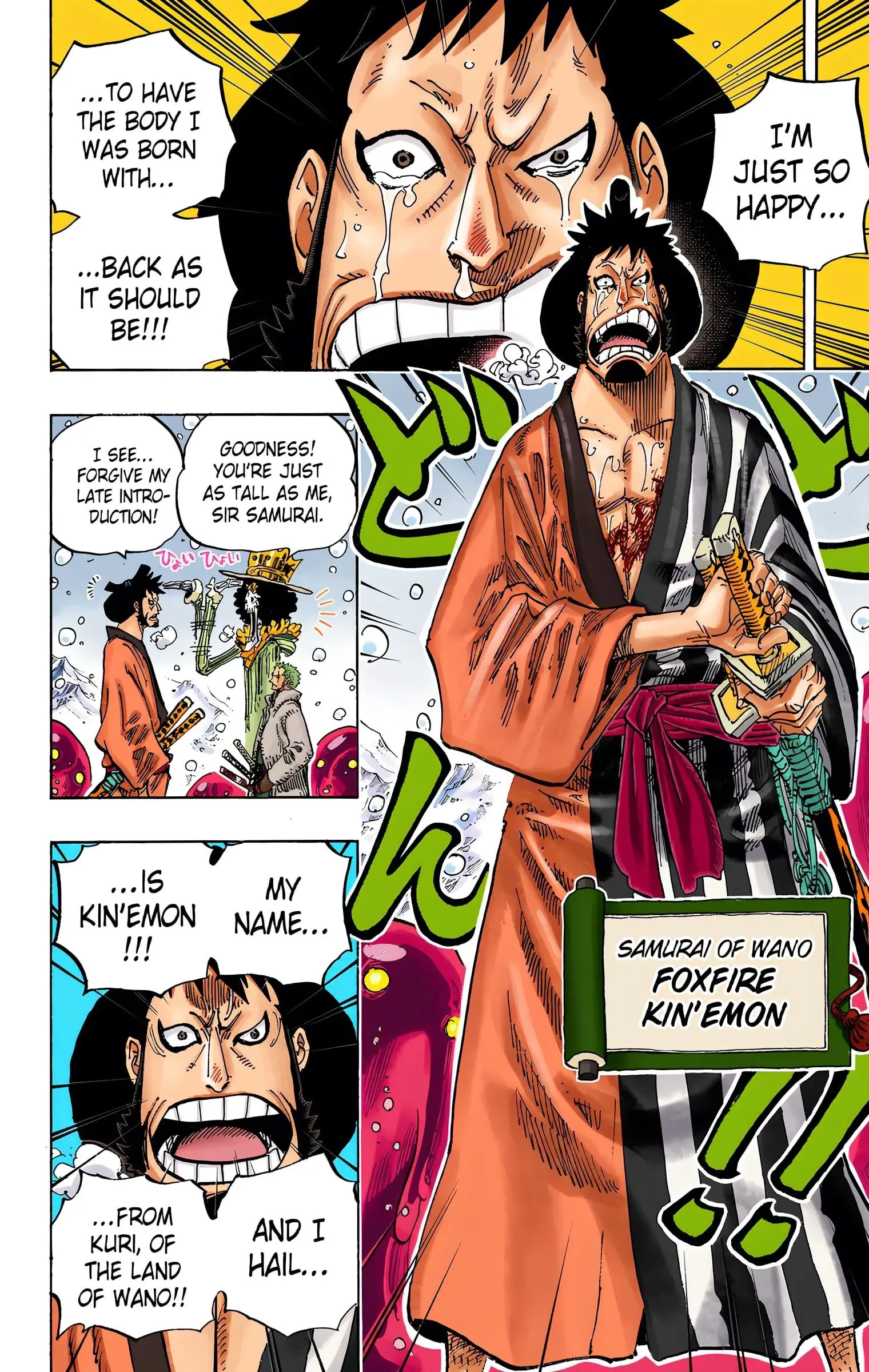 One Piece Colored, chapter 672, page 14